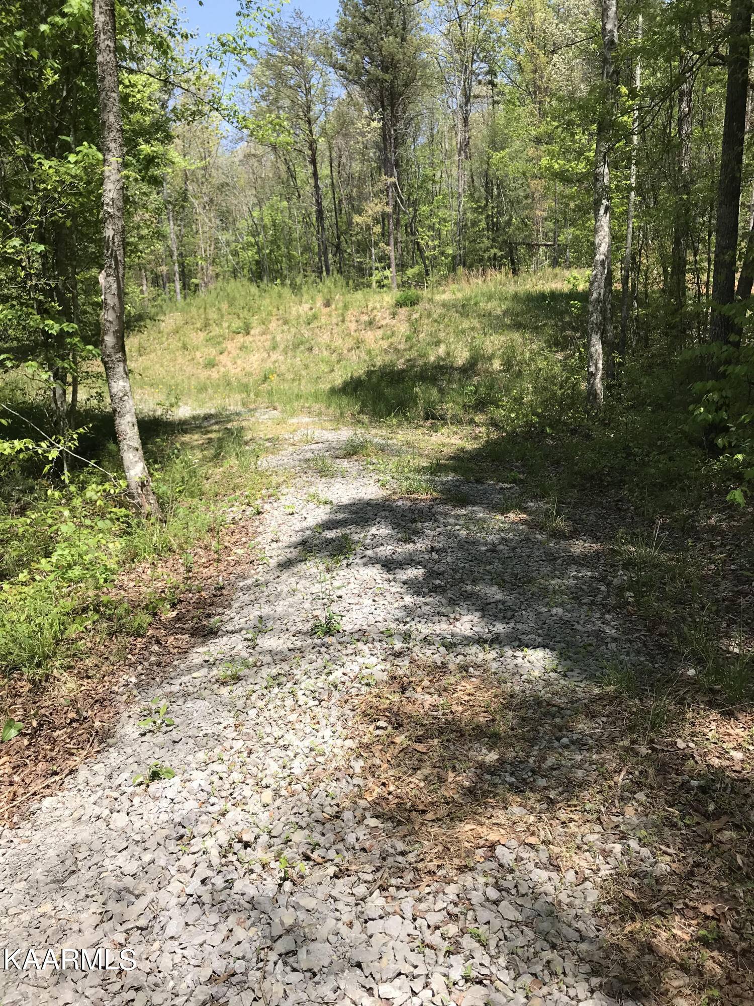 Tellico Plains, TN 37385,103 Highlands Bluff