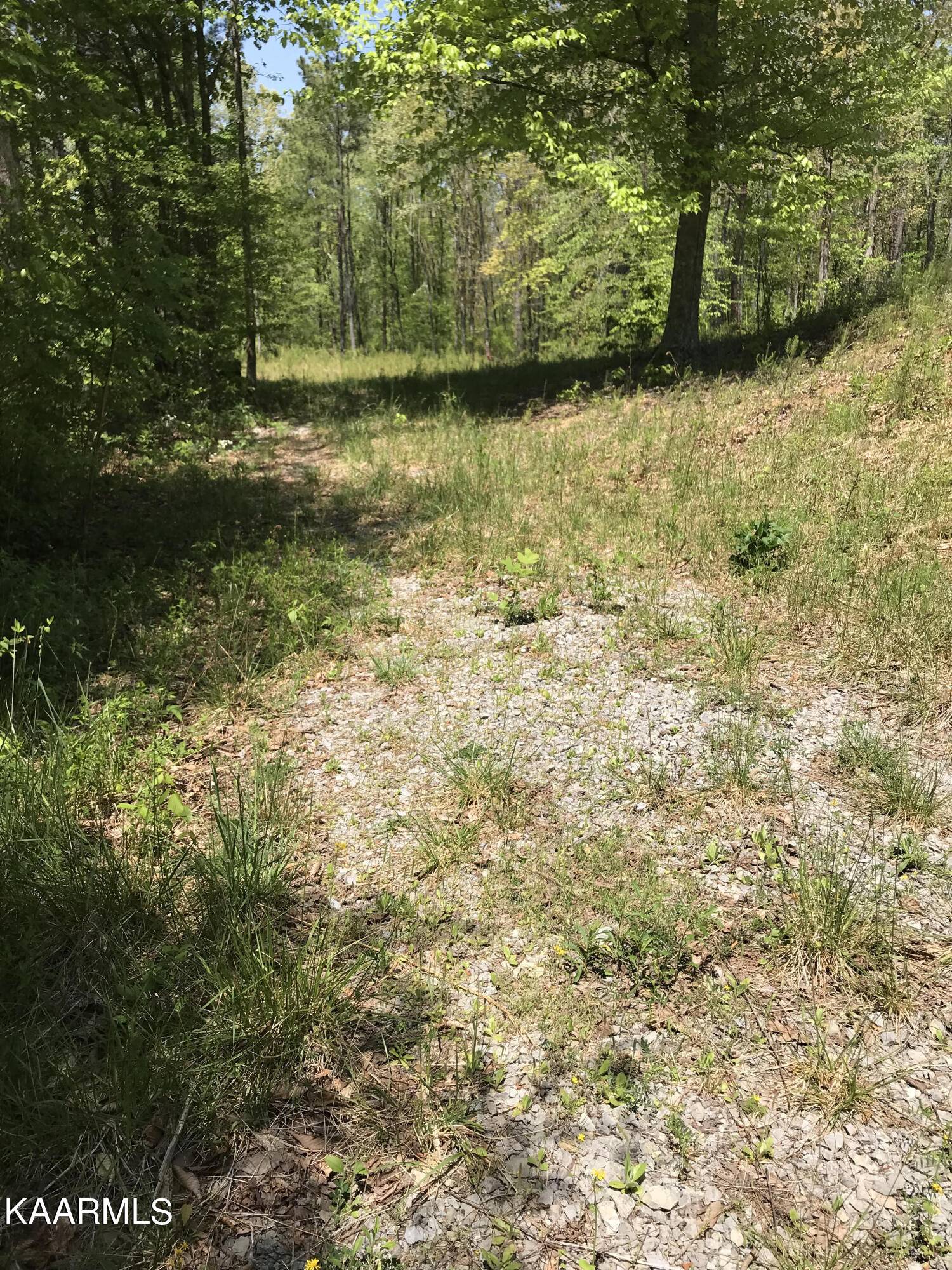 Tellico Plains, TN 37385,103 Highlands Bluff