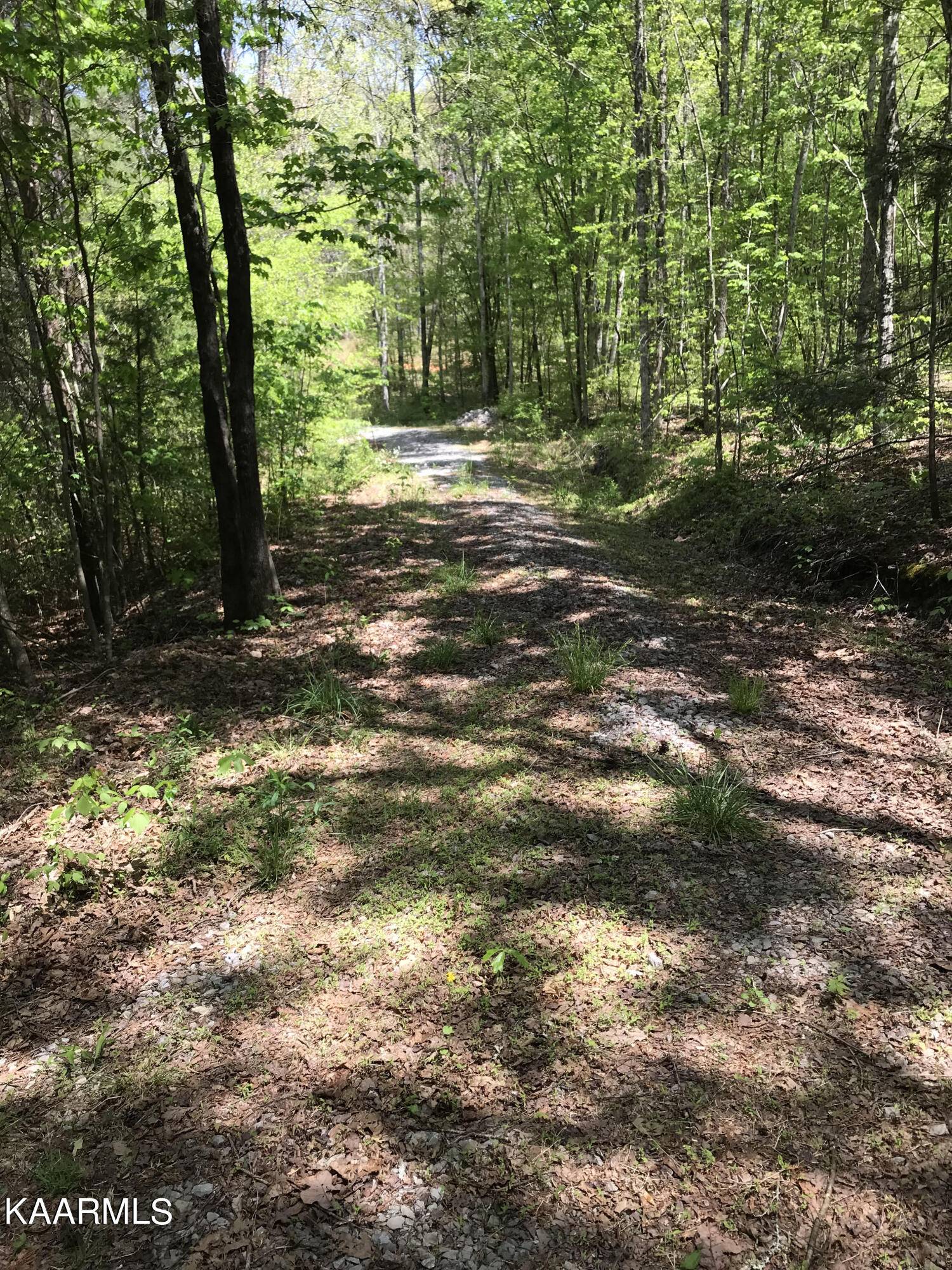 Tellico Plains, TN 37385,103 Highlands Bluff