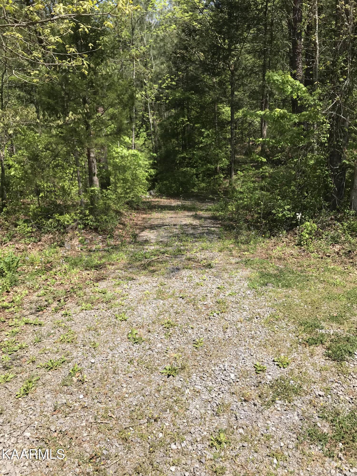 Tellico Plains, TN 37385,103 Highlands Bluff