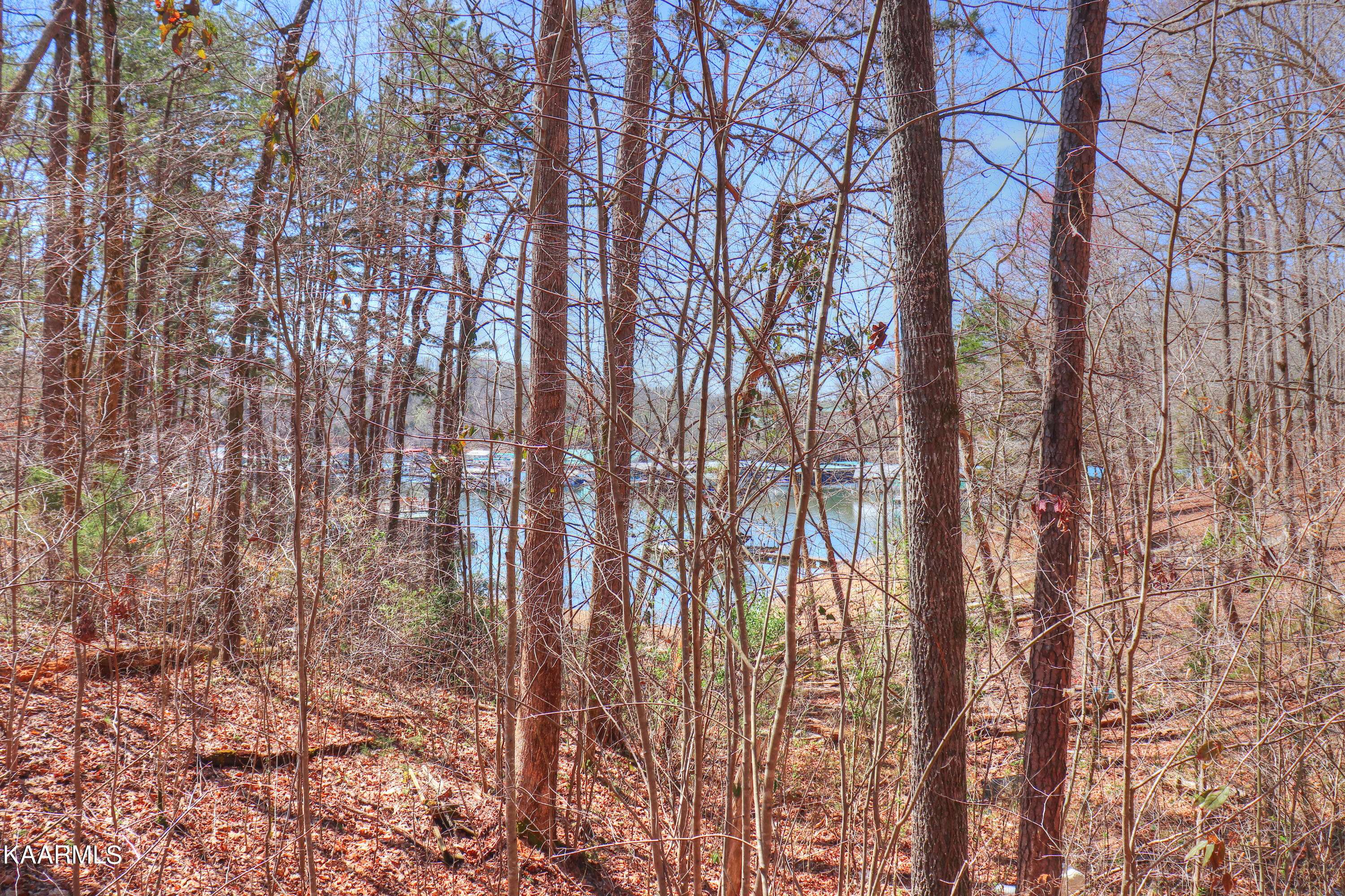 Speedwell, TN 37870,Lot 157 Bridle WAY