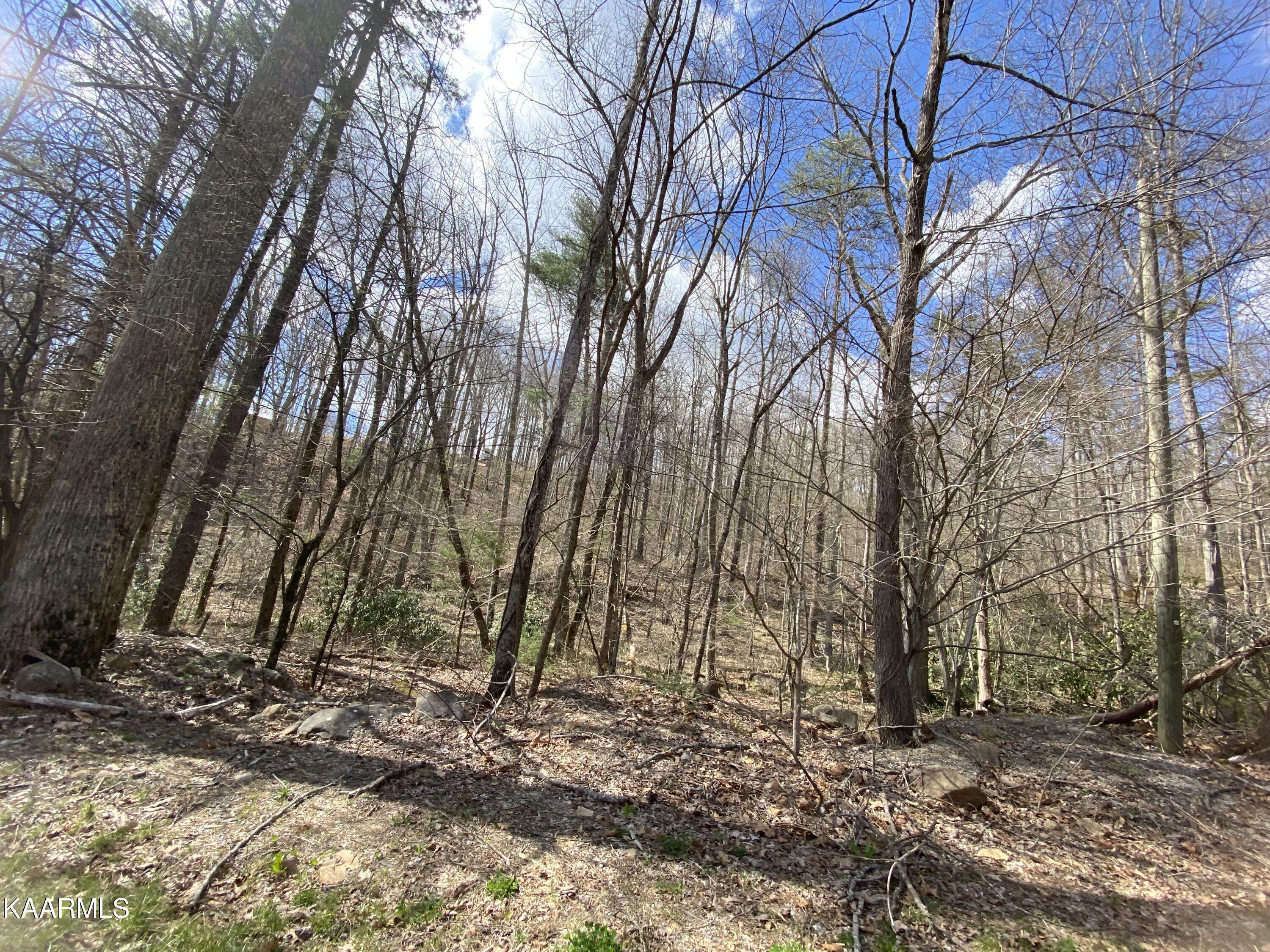 Sevierville, TN 37876,Lot 21 Alpine DR