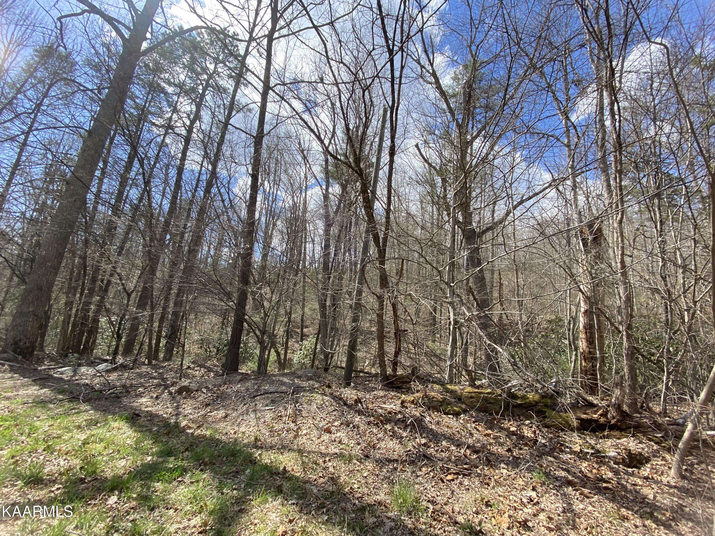 Sevierville, TN 37876,Lot 21 Alpine DR