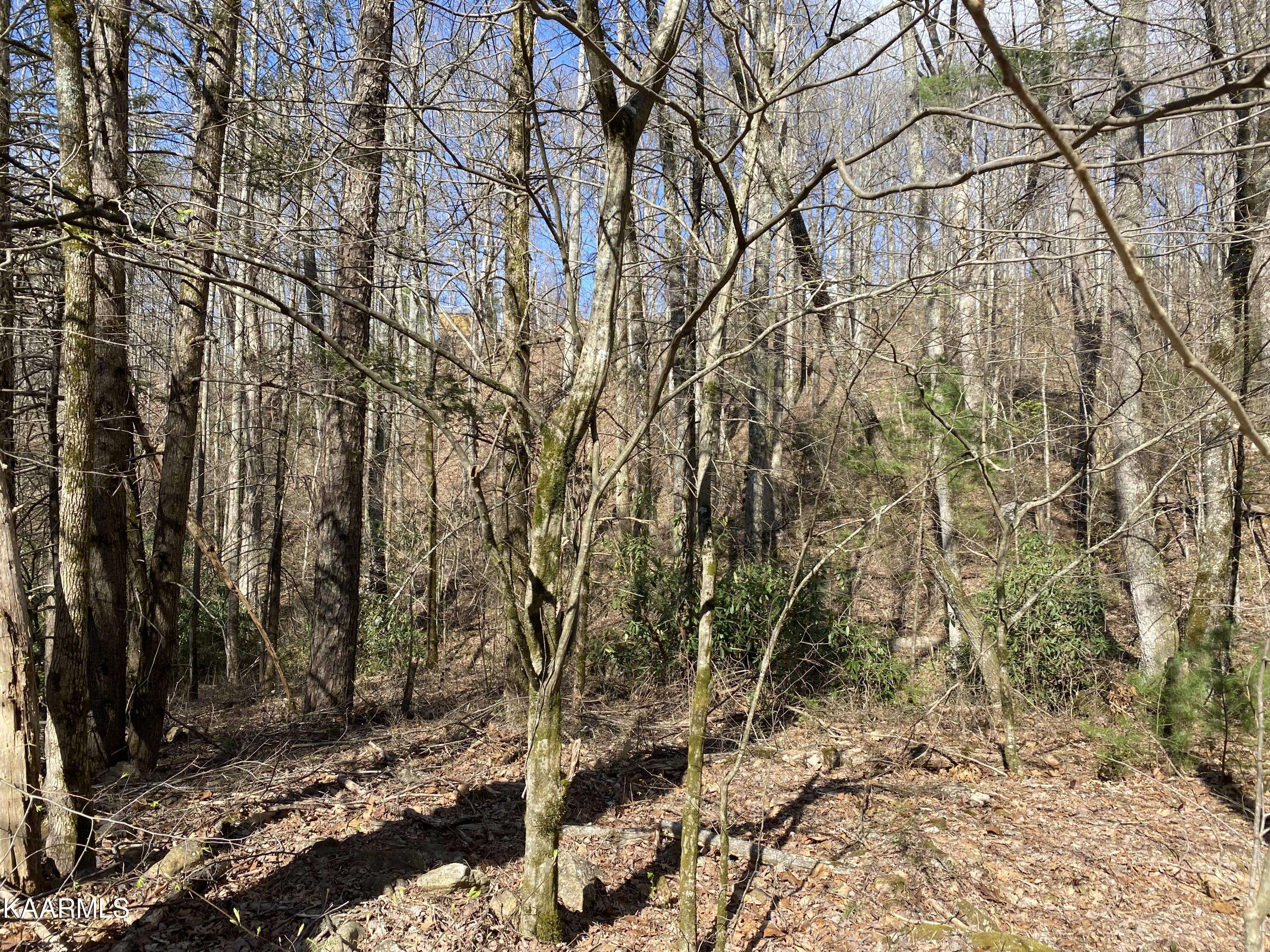 Sevierville, TN 37876,Lot 21 Alpine DR