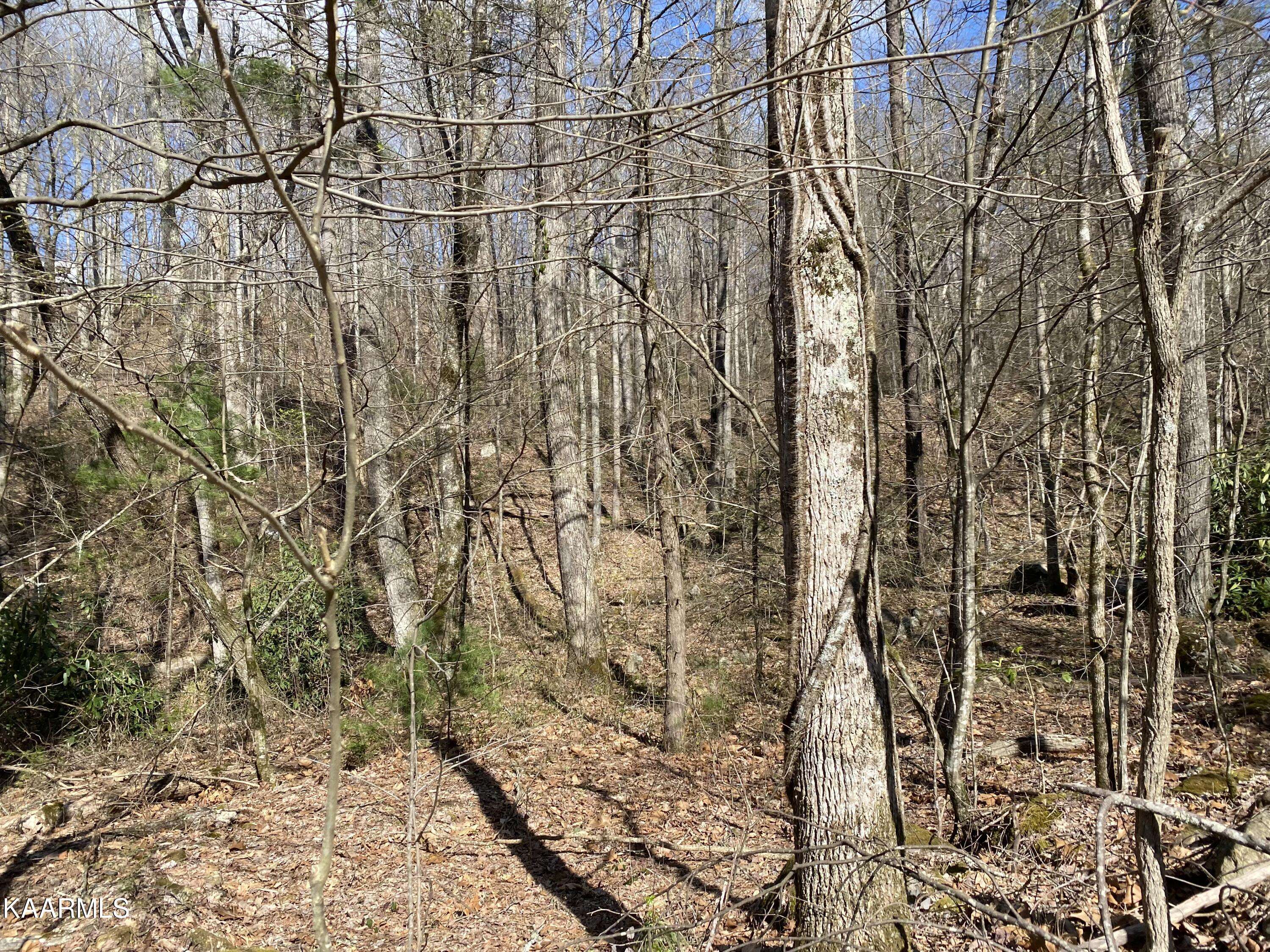 Sevierville, TN 37876,Lot 21 Alpine DR