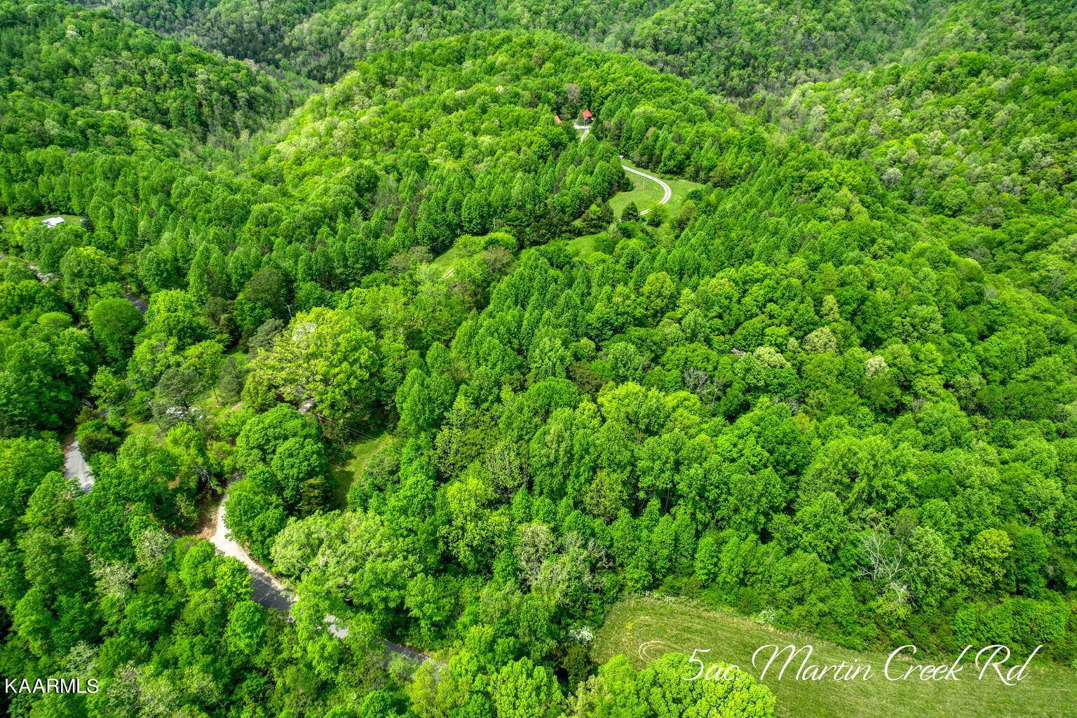 Bloomington Springs, TN 38545,5 AC Martin Creek Rd