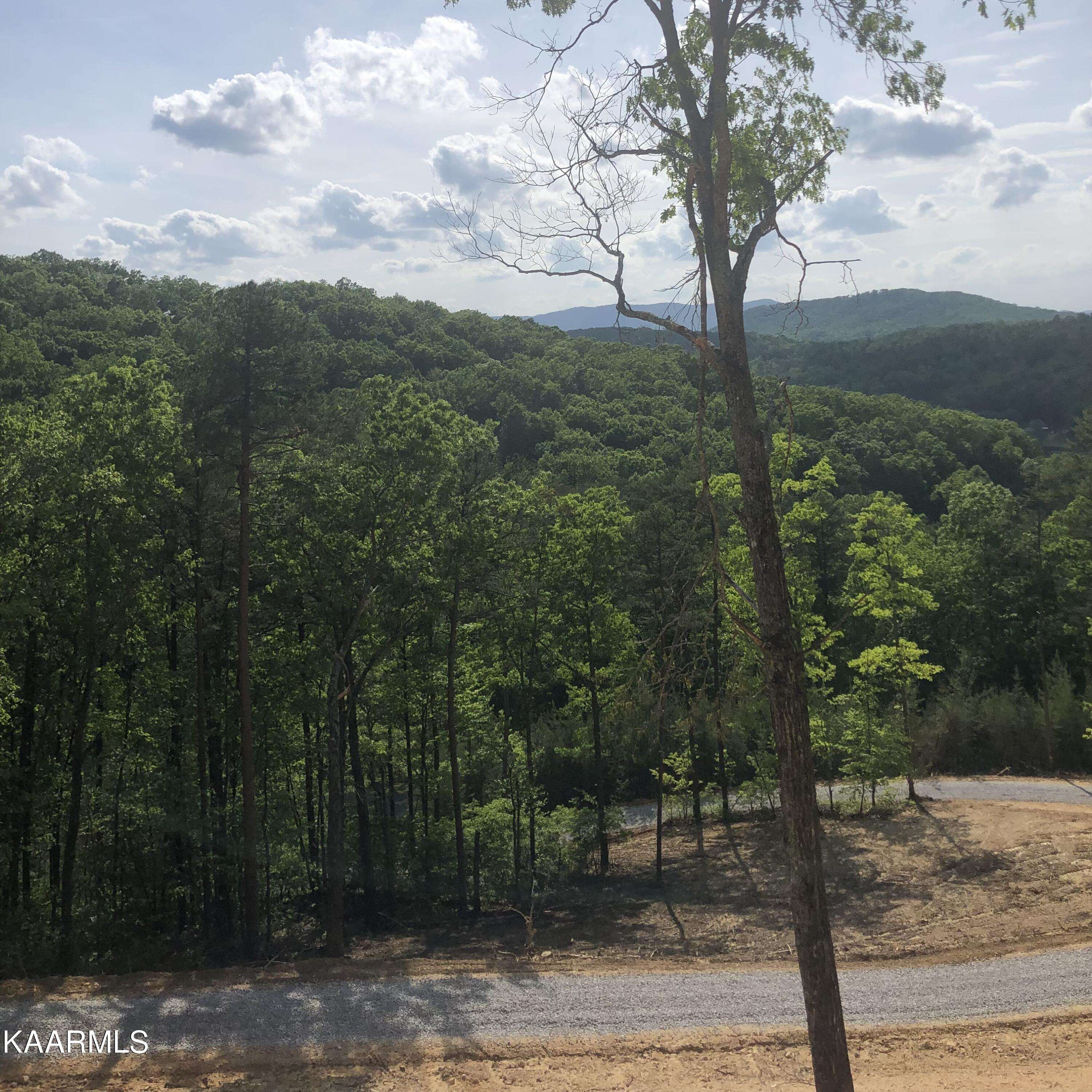 Tellico Plains, TN 37385,Lot 3 Indian Ridge DR