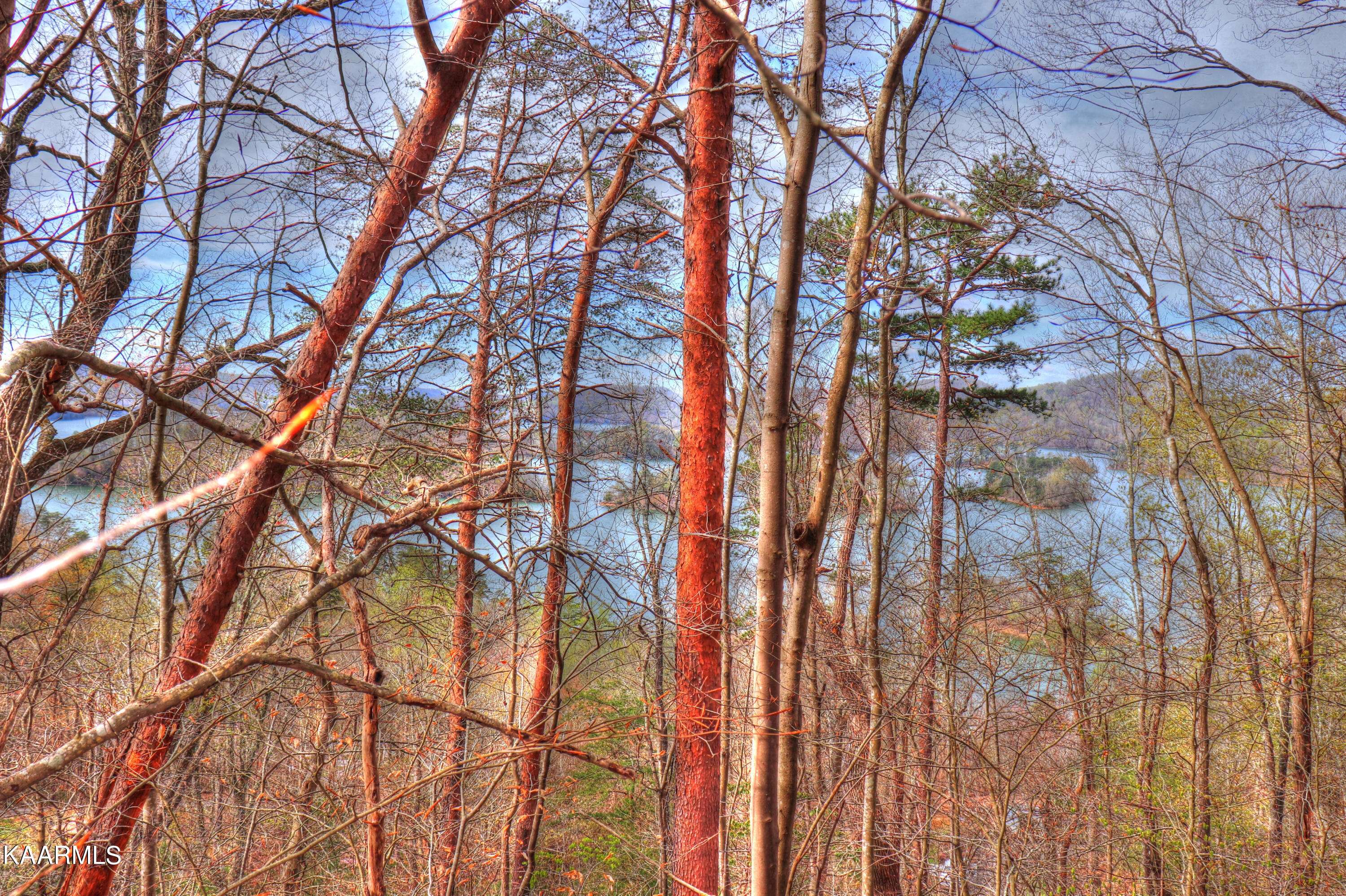 Sharps Chapel, TN 37866,Lot 76 Grandpas Ridge