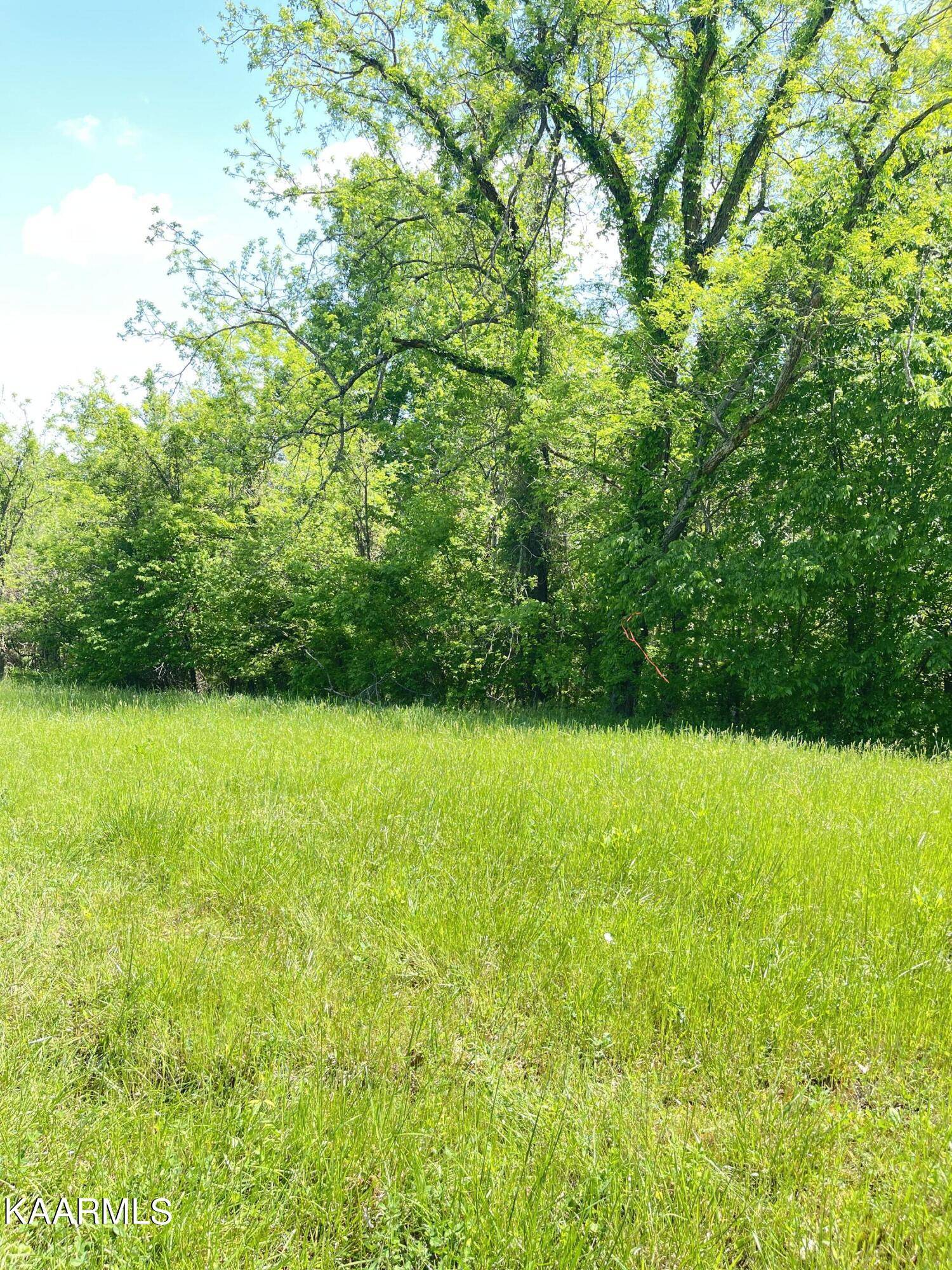 Maynardville, TN 37807,Bob Wright Rd Lot 17