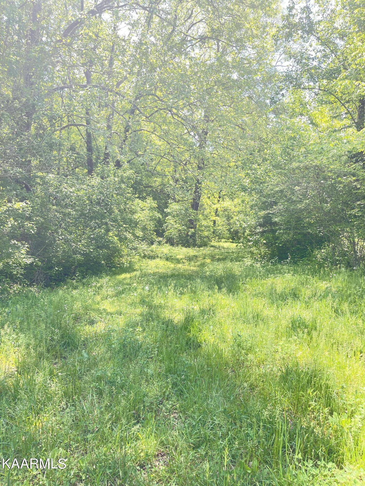 Maynardville, TN 37807,Bob Wright Rd Lot 17