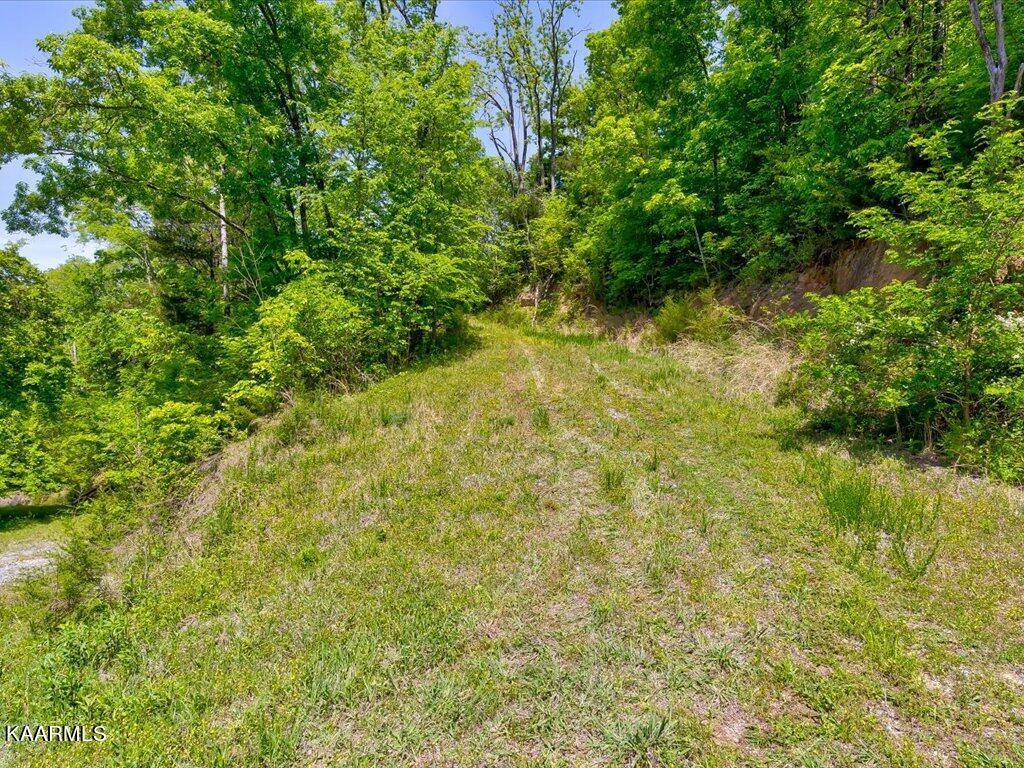 Newport, TN 37821,Emerald Springs WAY