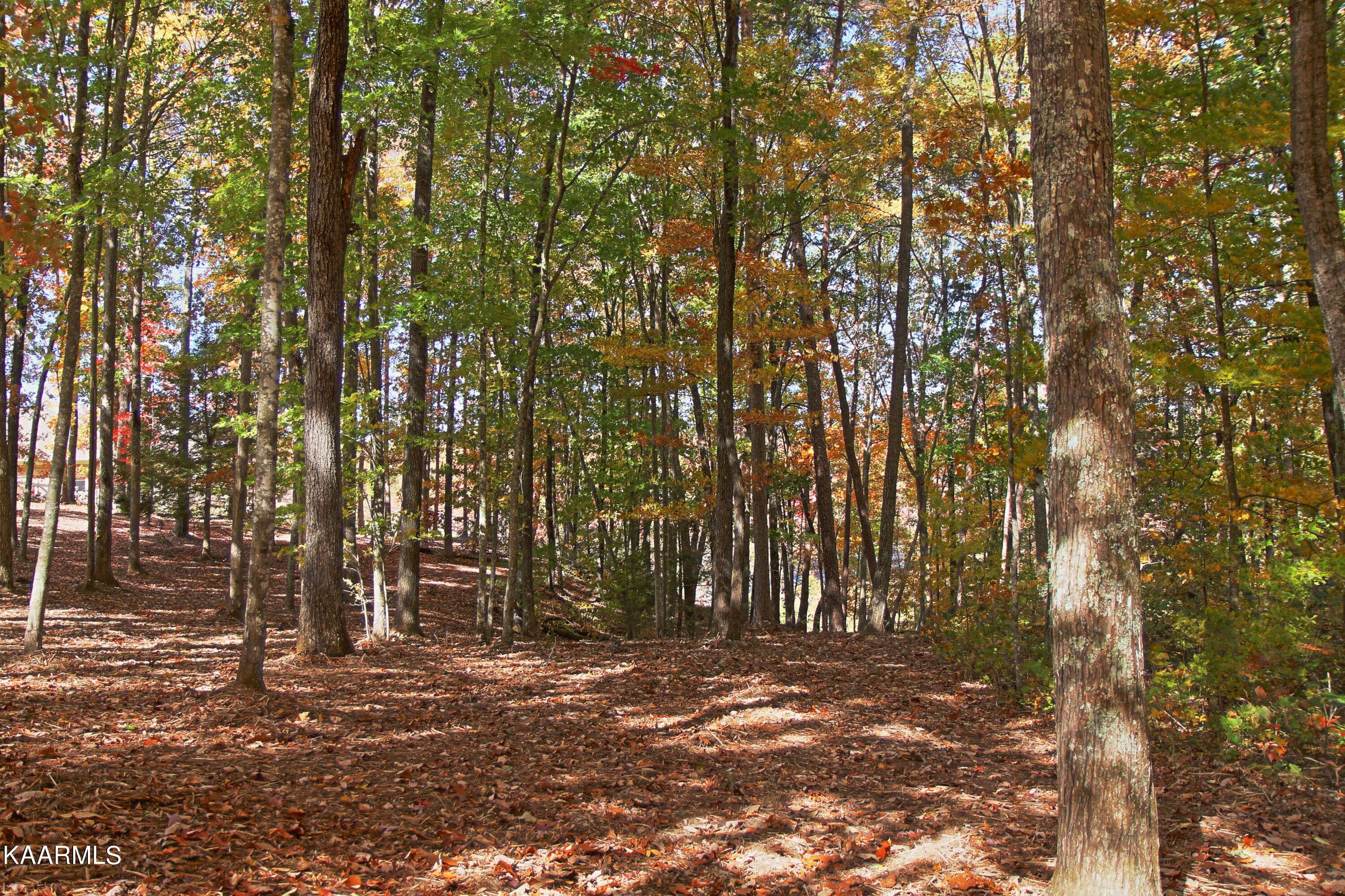 Jamestown, TN 38556,Lot 17 Emerald DR