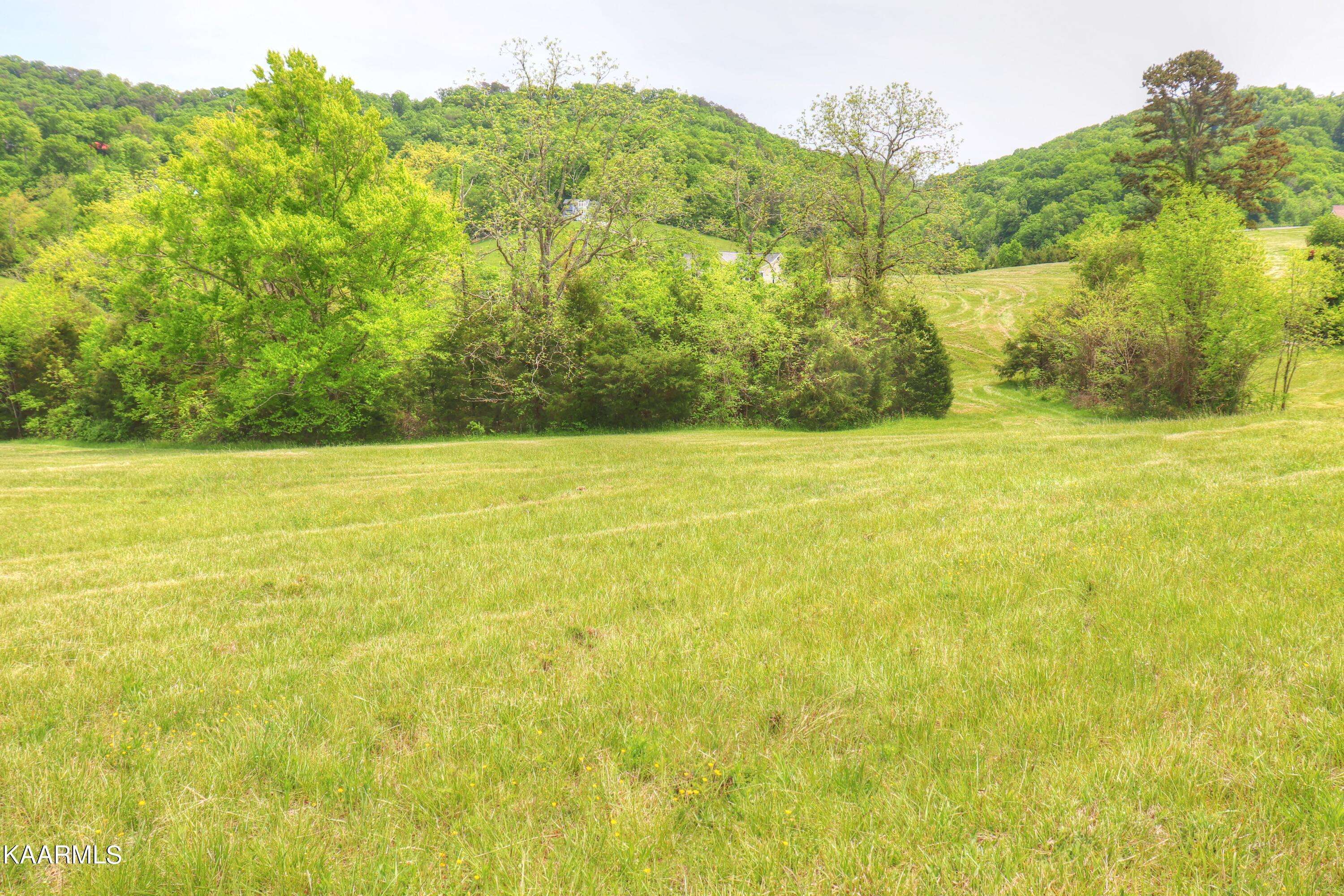 Sharps Chapel, TN 37866,Lot 230 Ruth CIR