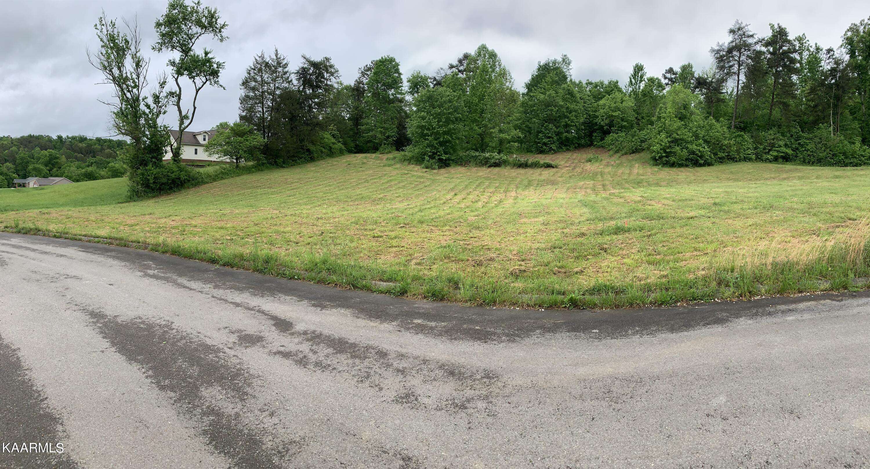 Strawberry Plains, TN 37871,lot 9 Briar Ridge LN