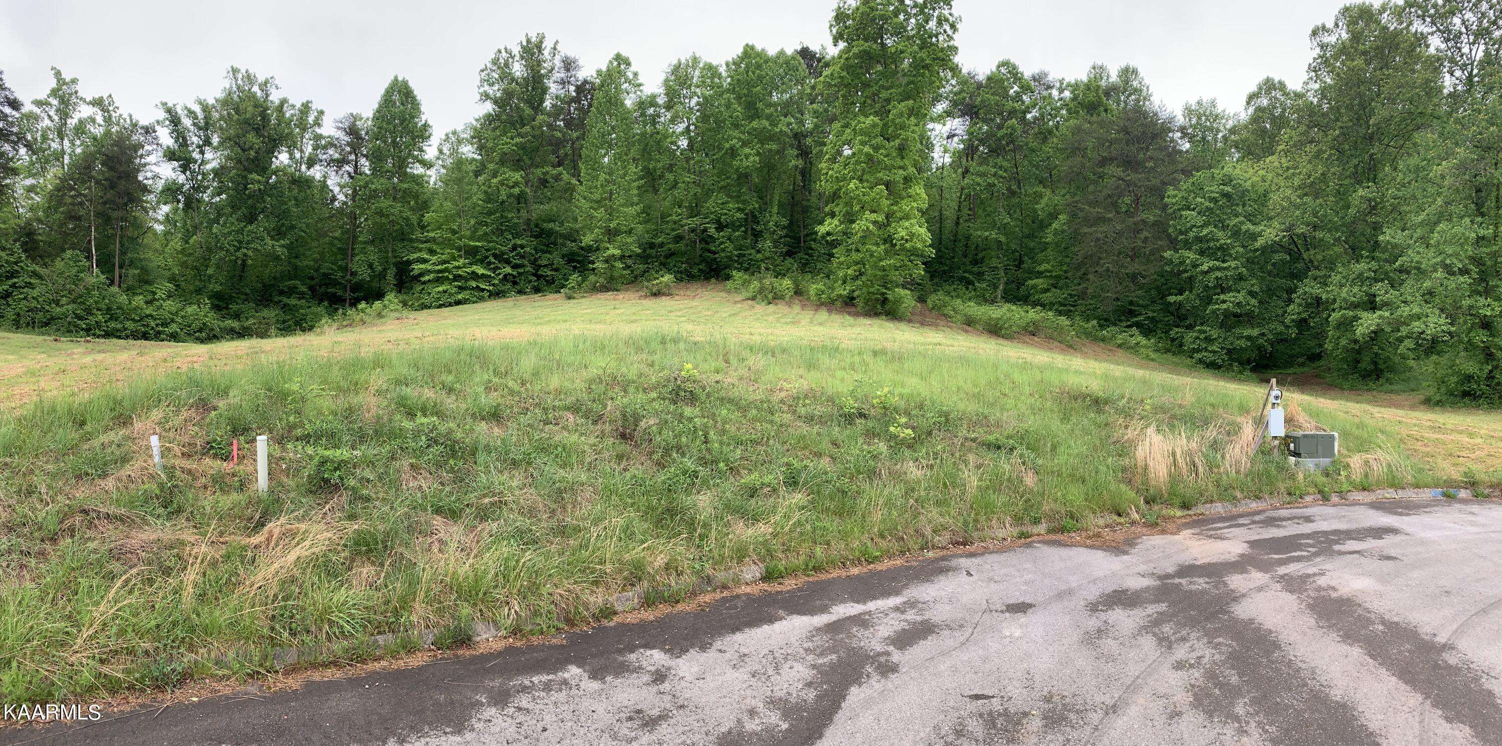 Strawberry Plains, TN 37871,Briar Ridge ln LN