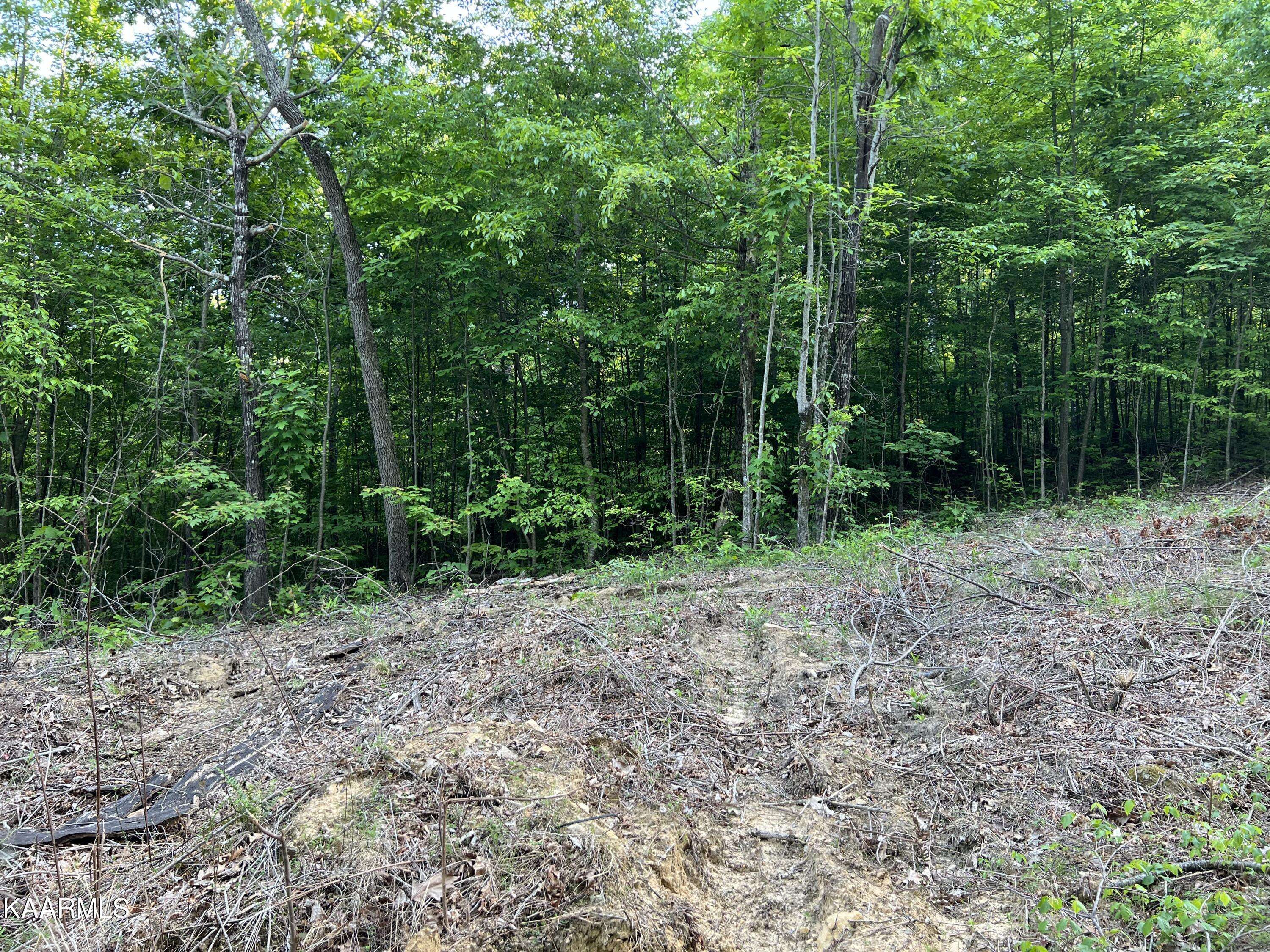 Tallassee, TN 37878,Lot 17 Bobcat Trail