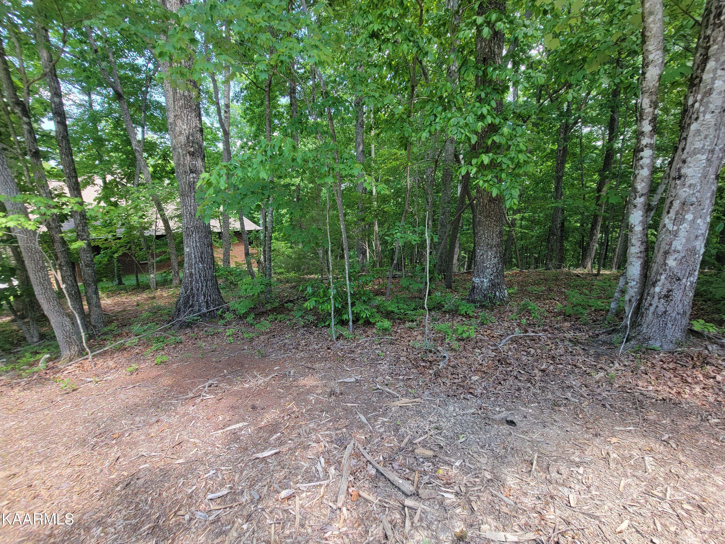 Fairfield Glade, TN 38558,130 Pineridge LOOP