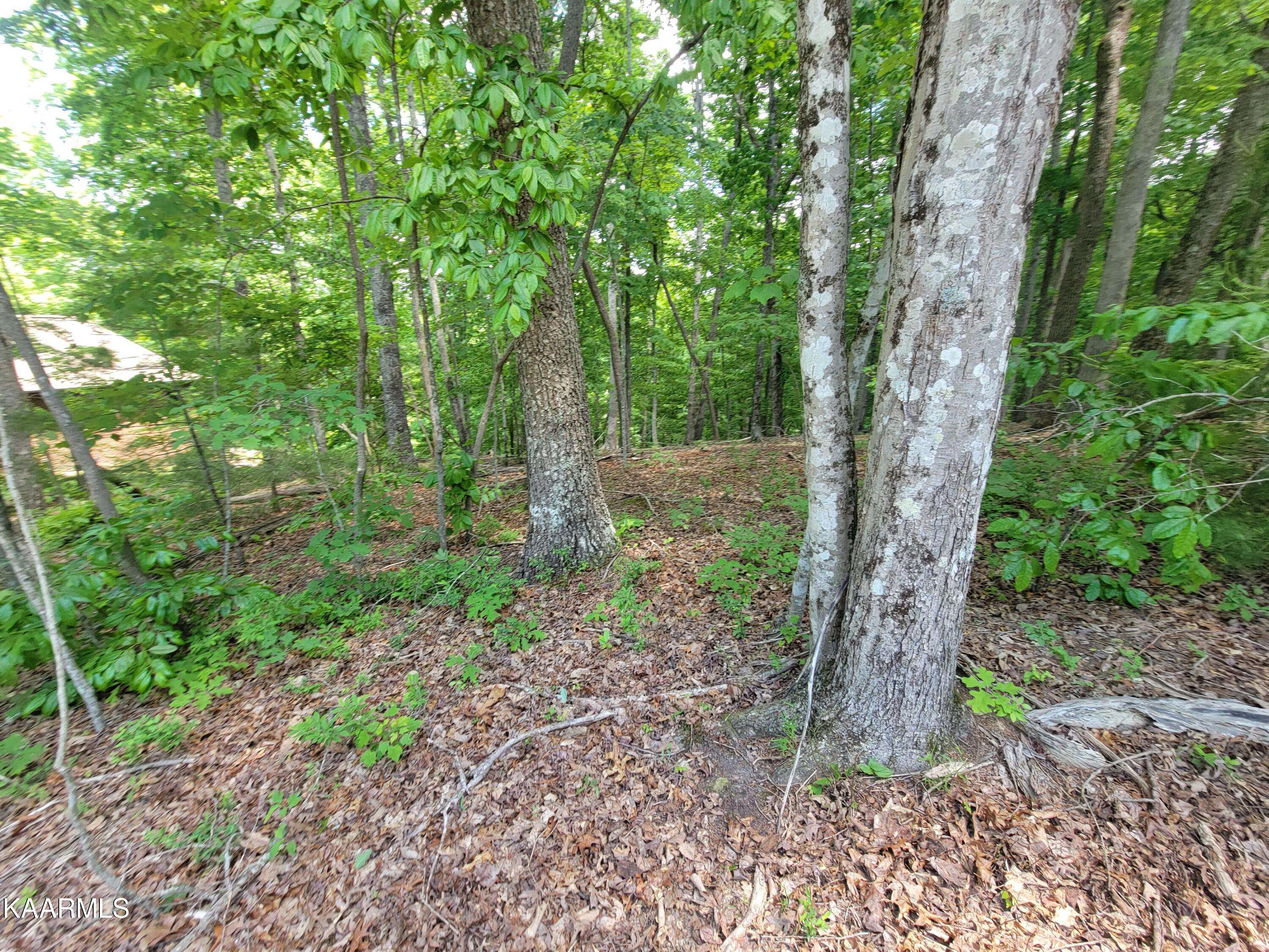 Fairfield Glade, TN 38558,130 Pineridge LOOP