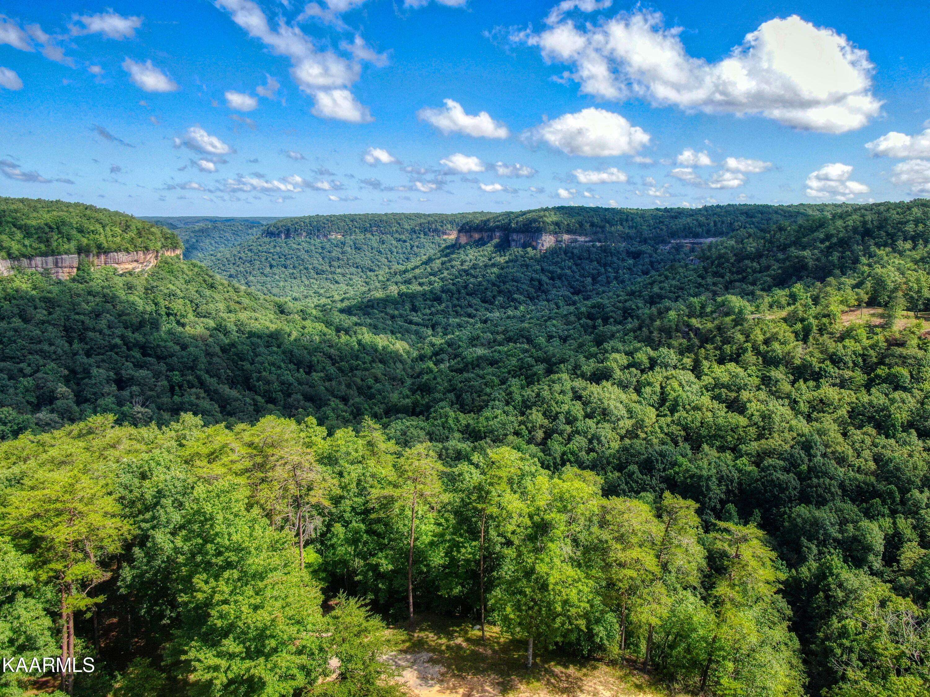 Jamestown, TN 38556,Lot 83 Cliffmont Rd