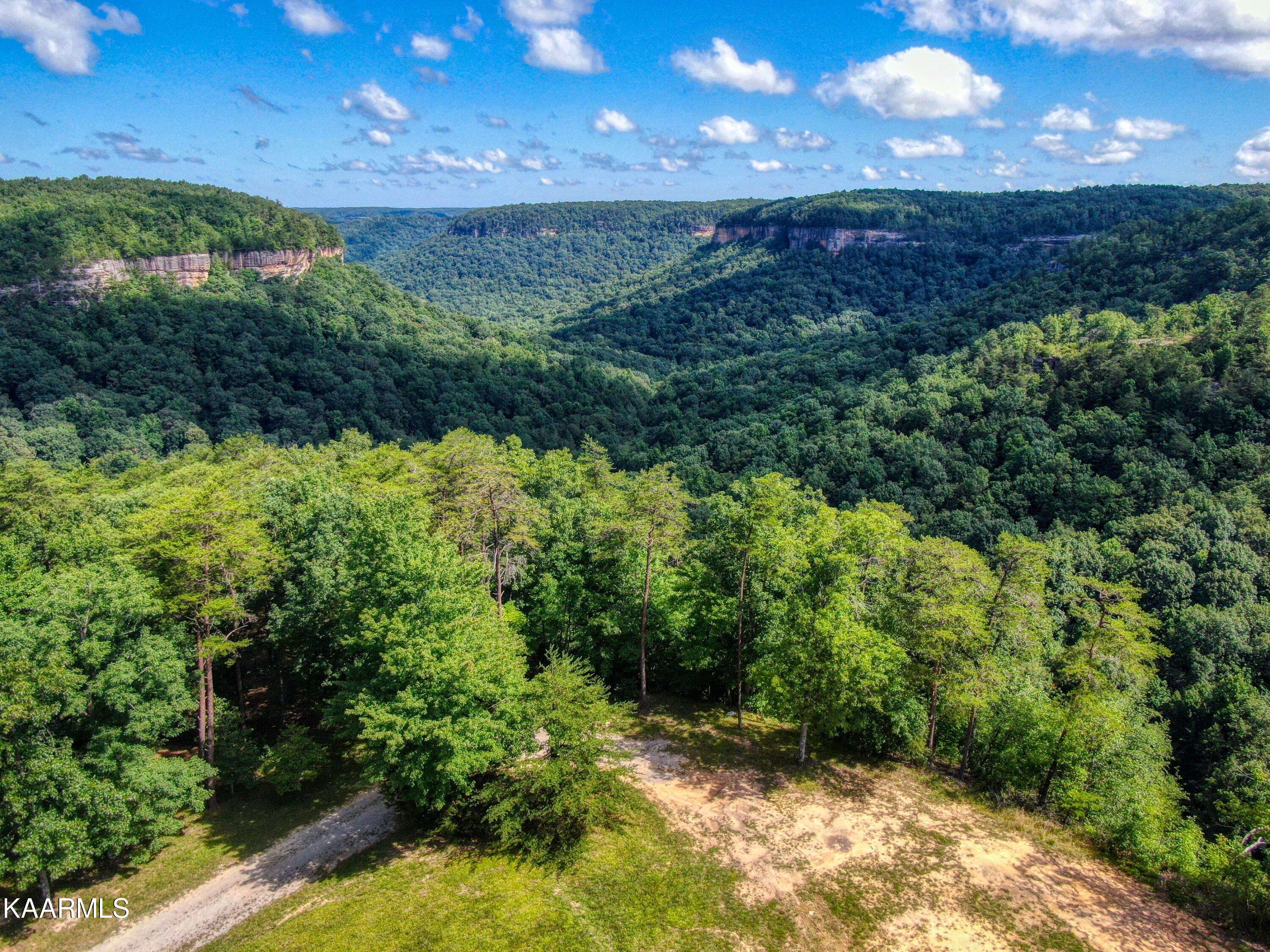 Jamestown, TN 38556,Lot 83 Cliffmont Rd