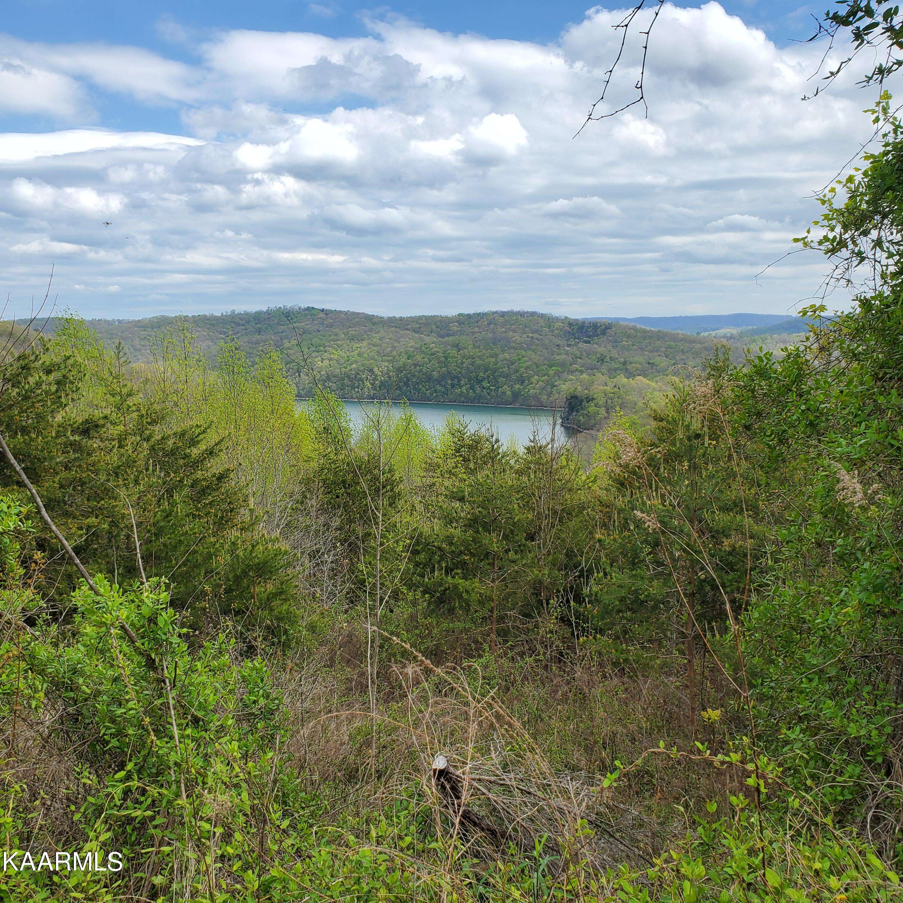 New Tazewell, TN 37825,Lot 714 Whistle Valley Rd