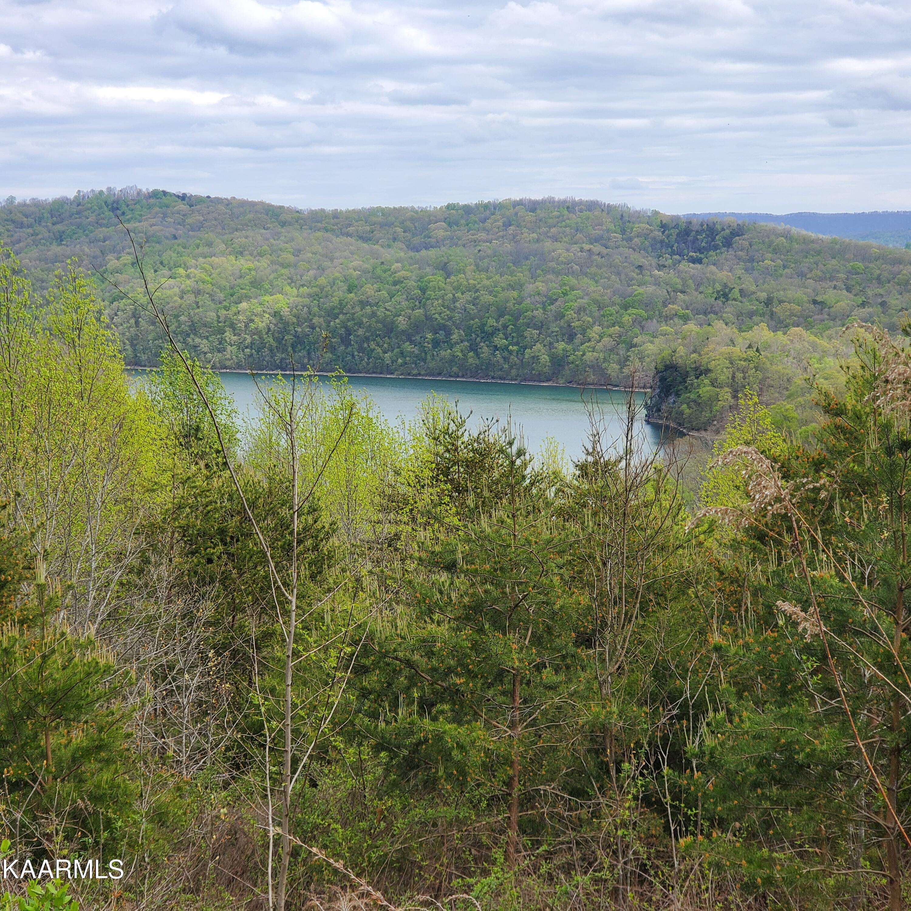 New Tazewell, TN 37825,Lot 714 Whistle Valley Rd