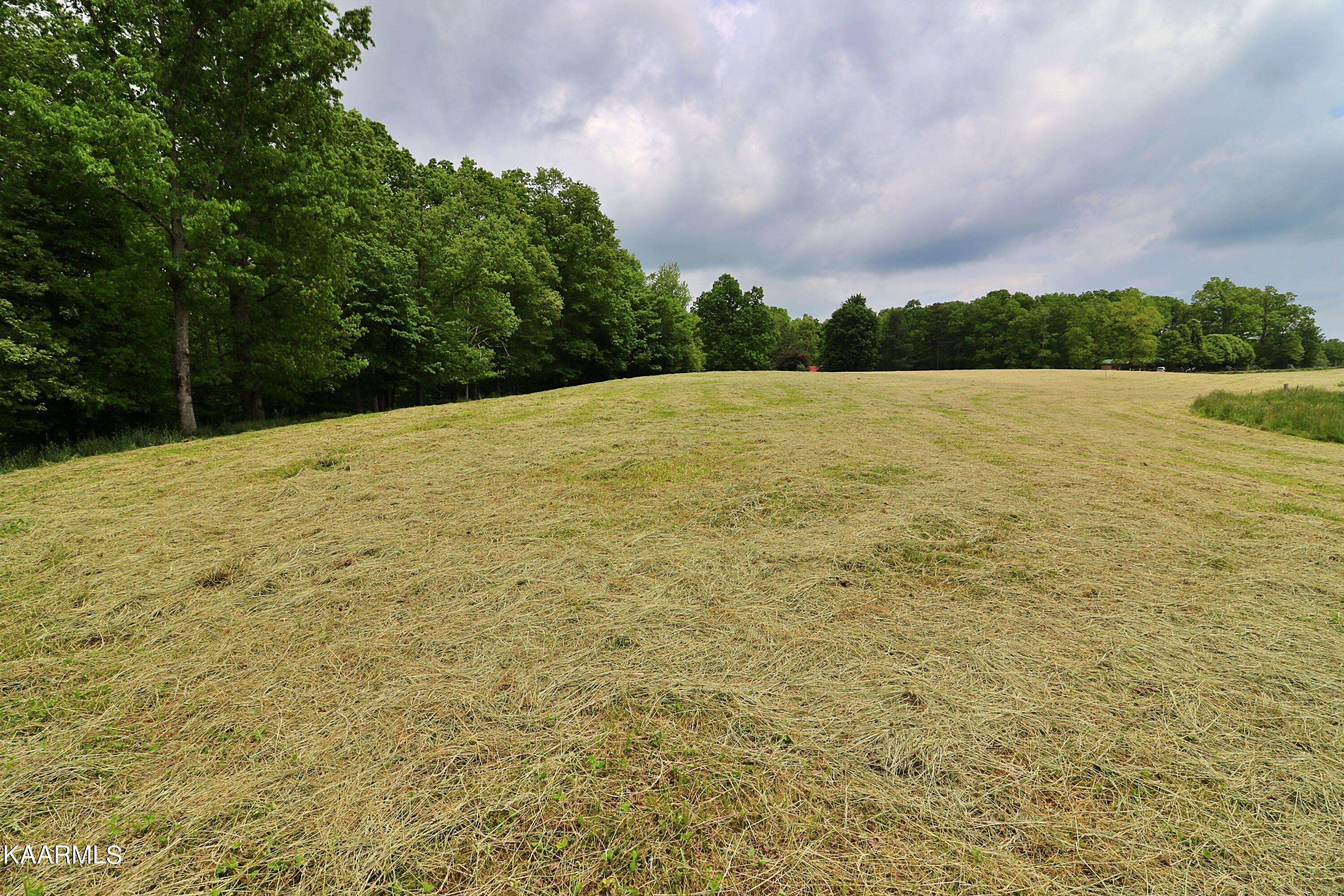 Robbins, TN 37852,McCartt Rd