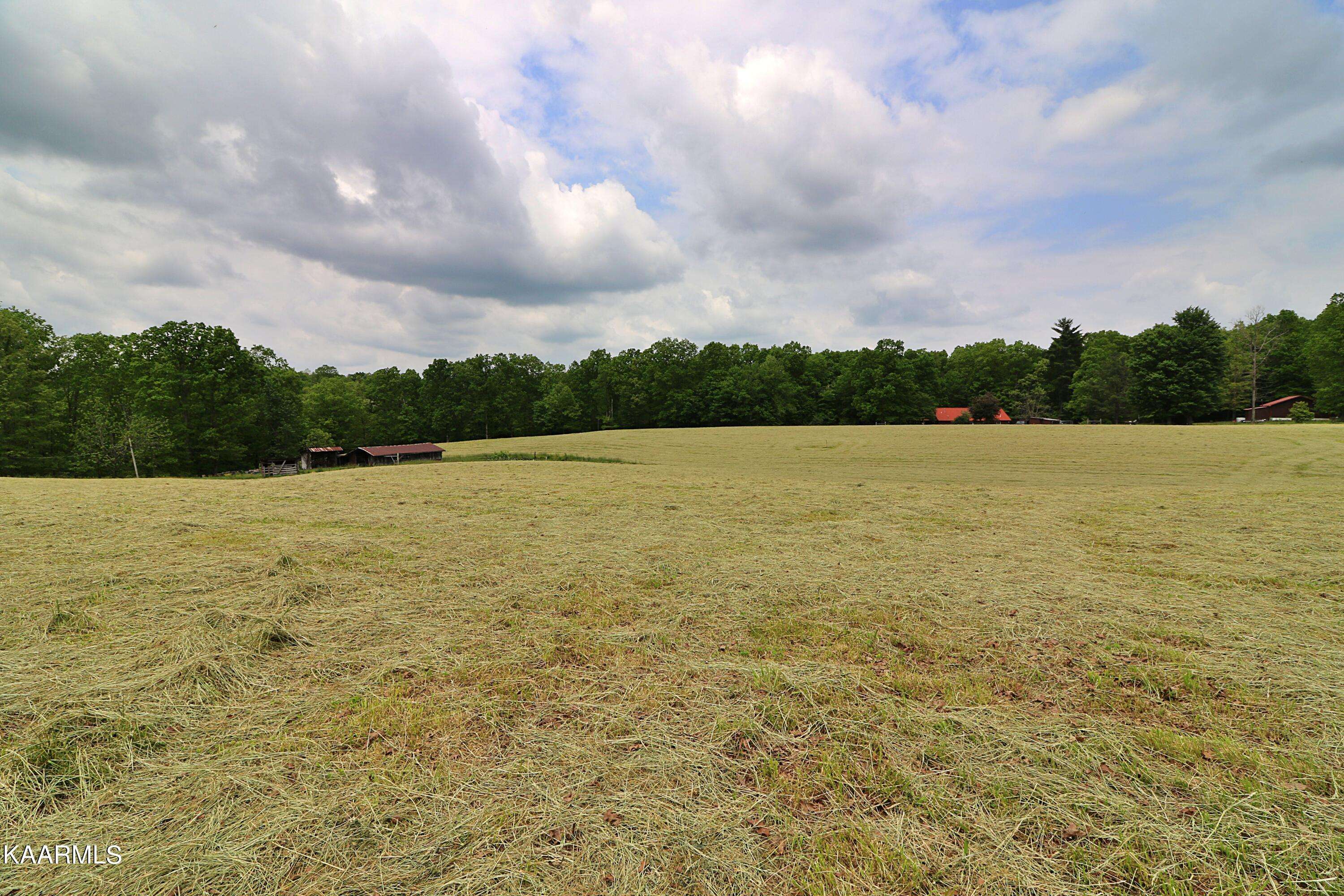 Robbins, TN 37852,McCartt Rd