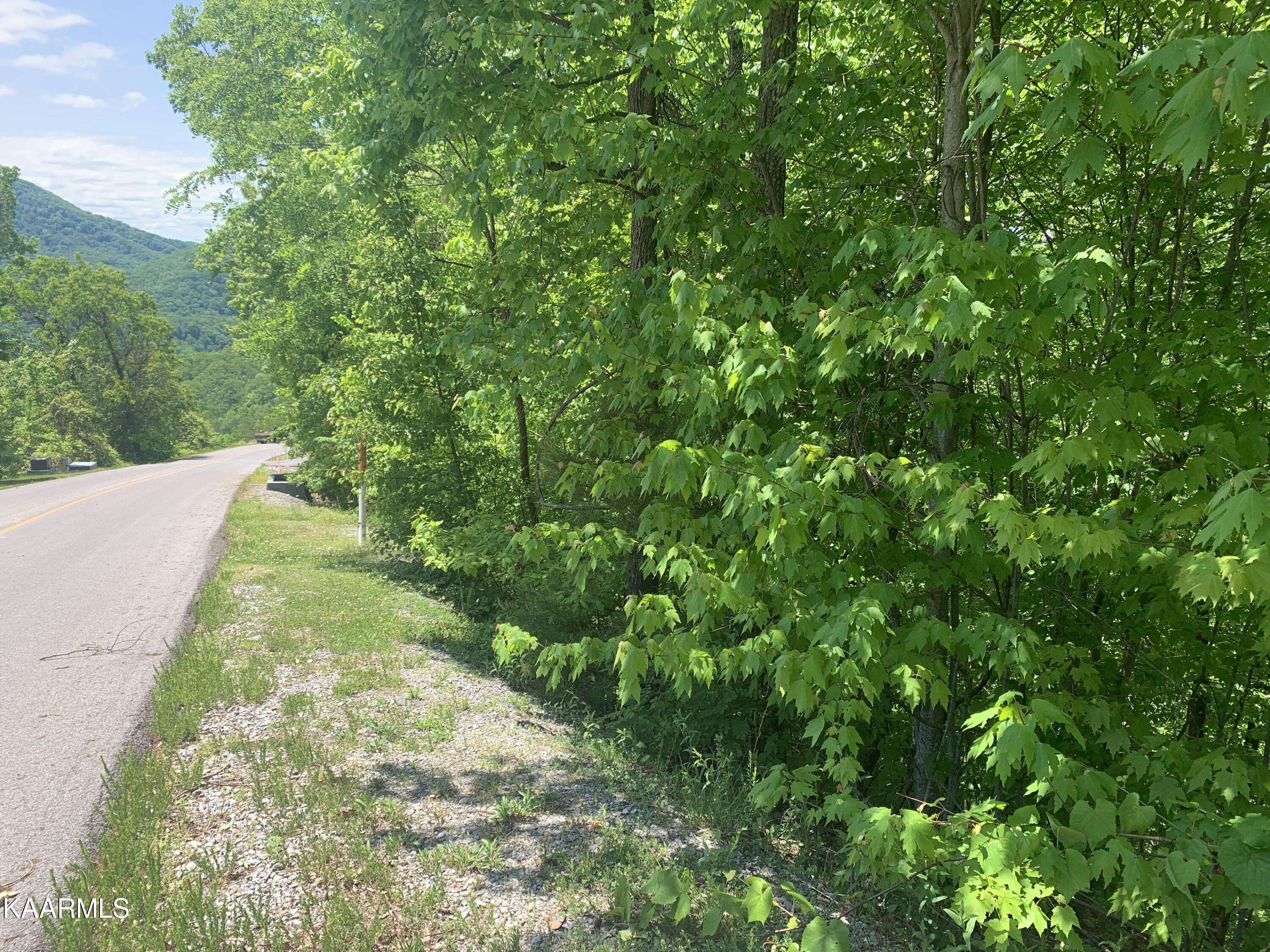 Sevierville, TN 37862,Lot 60E Redtail Rd