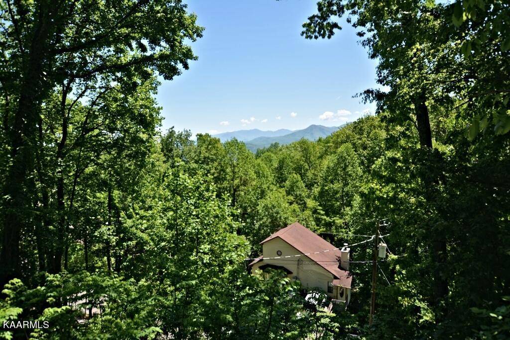 Gatlinburg, TN 37738,1452 Arbon DR