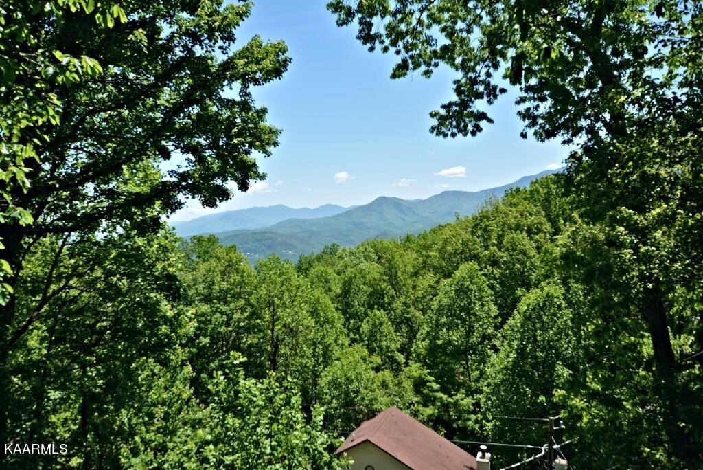 Gatlinburg, TN 37738,1452 Arbon DR