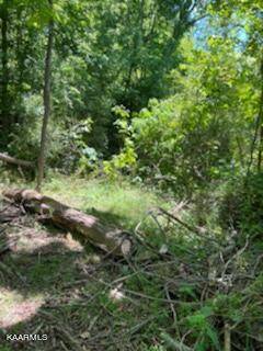 Loudon, TN 37774,Lot 5 Valley DR