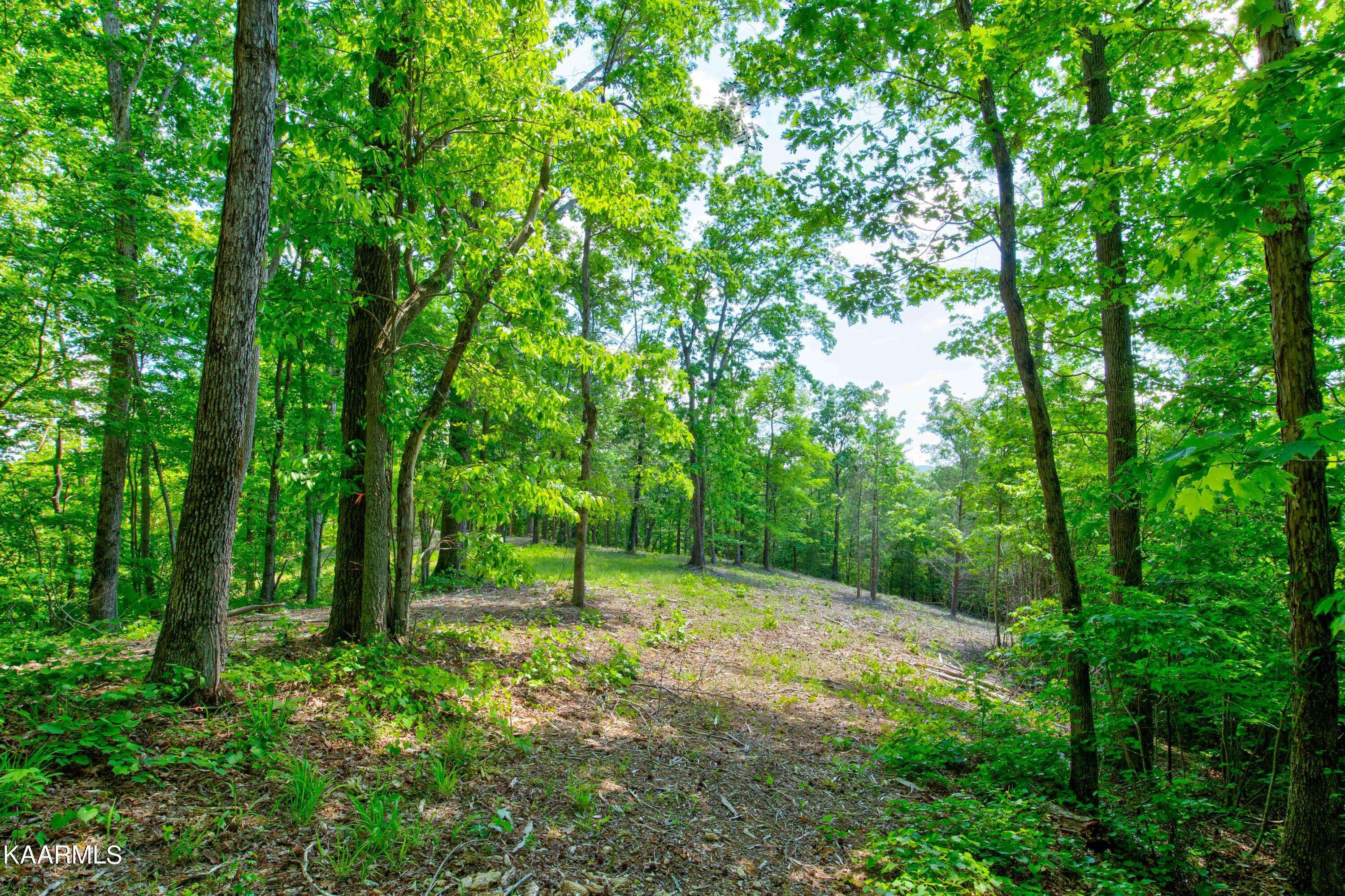 Rockwood, TN 37854,Lot 27 Ridgeline Drive