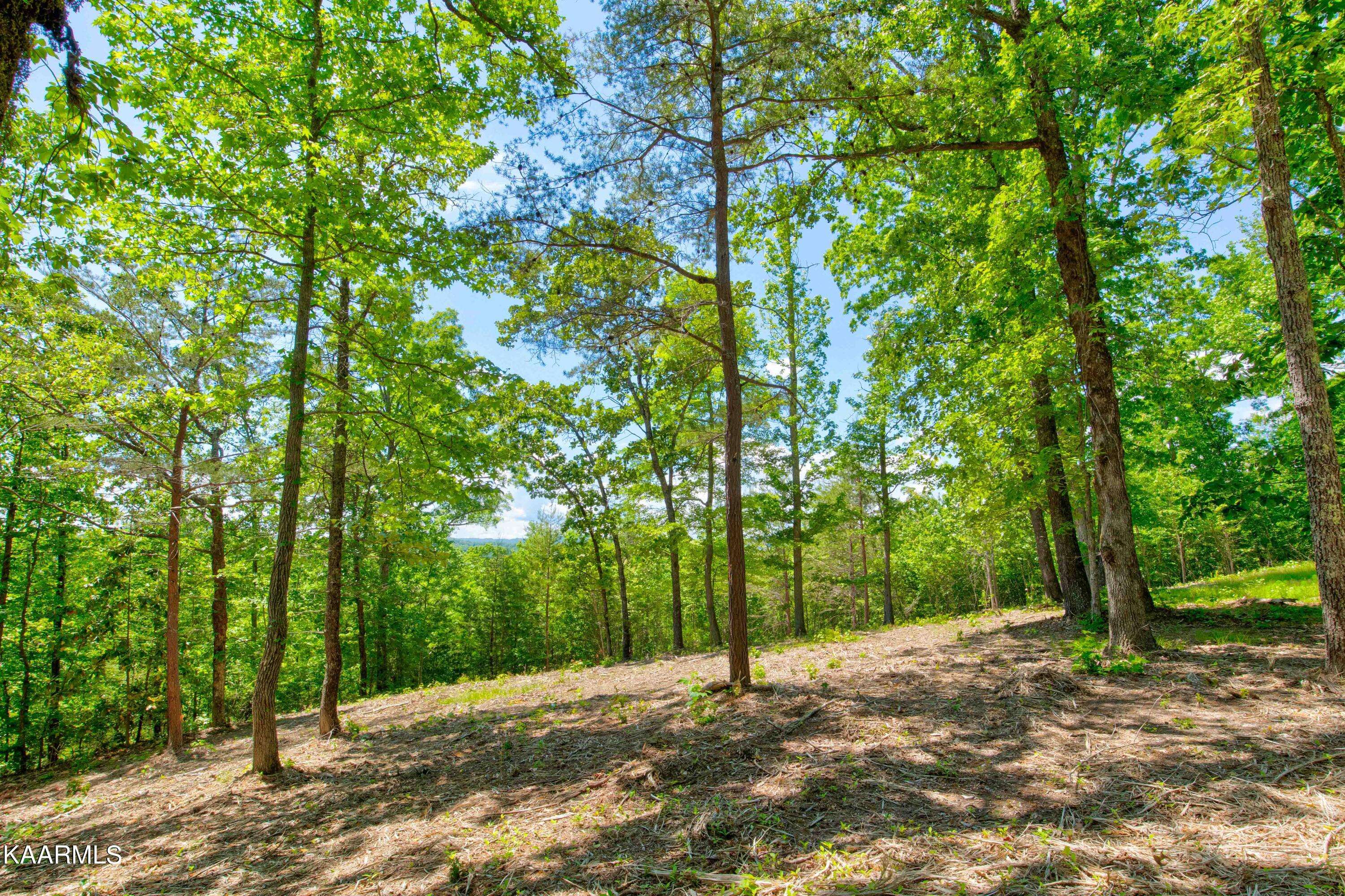 Rockwood, TN 37854,Lot 27 Ridgeline Drive