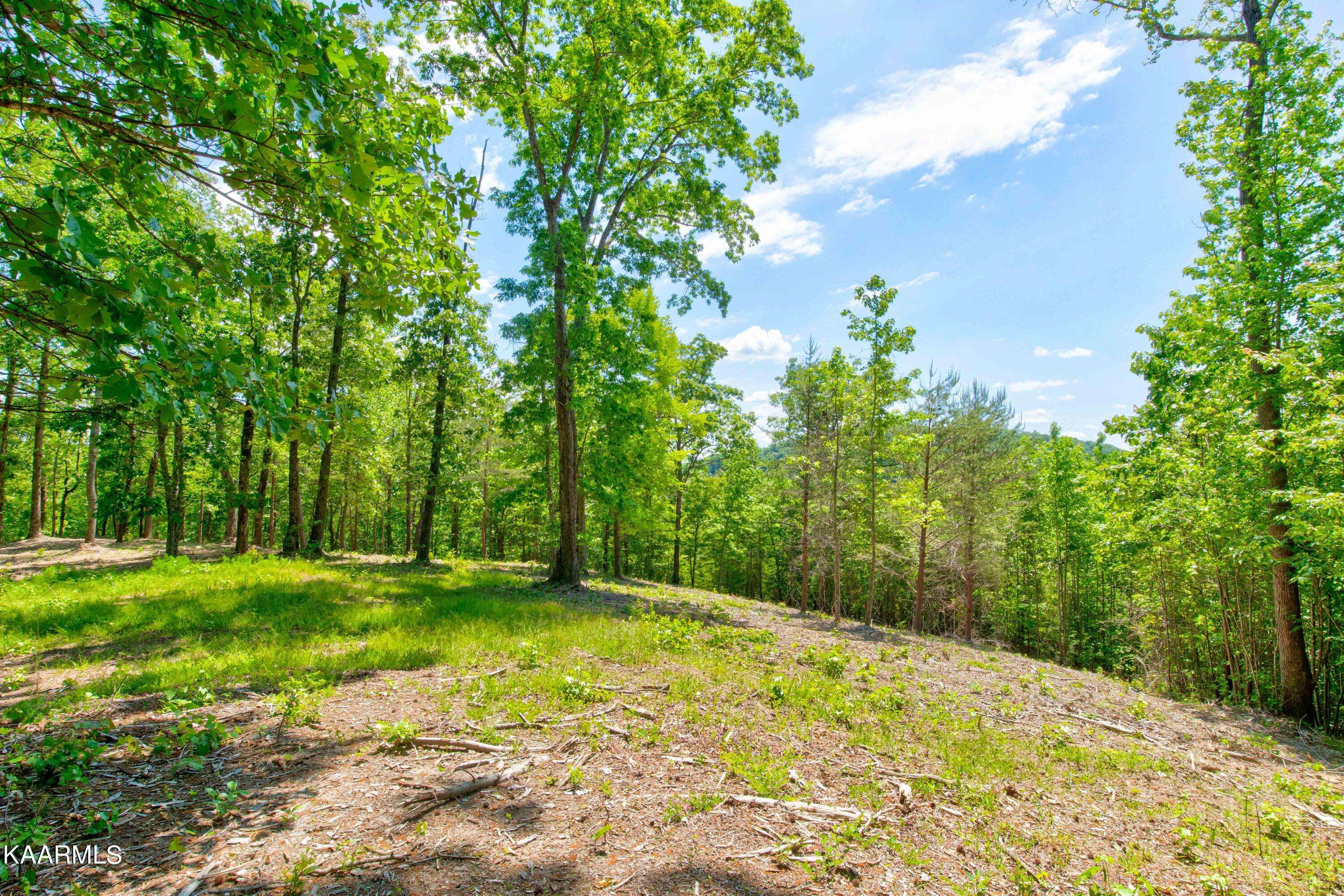 Rockwood, TN 37854,Lot 27 Ridgeline Drive