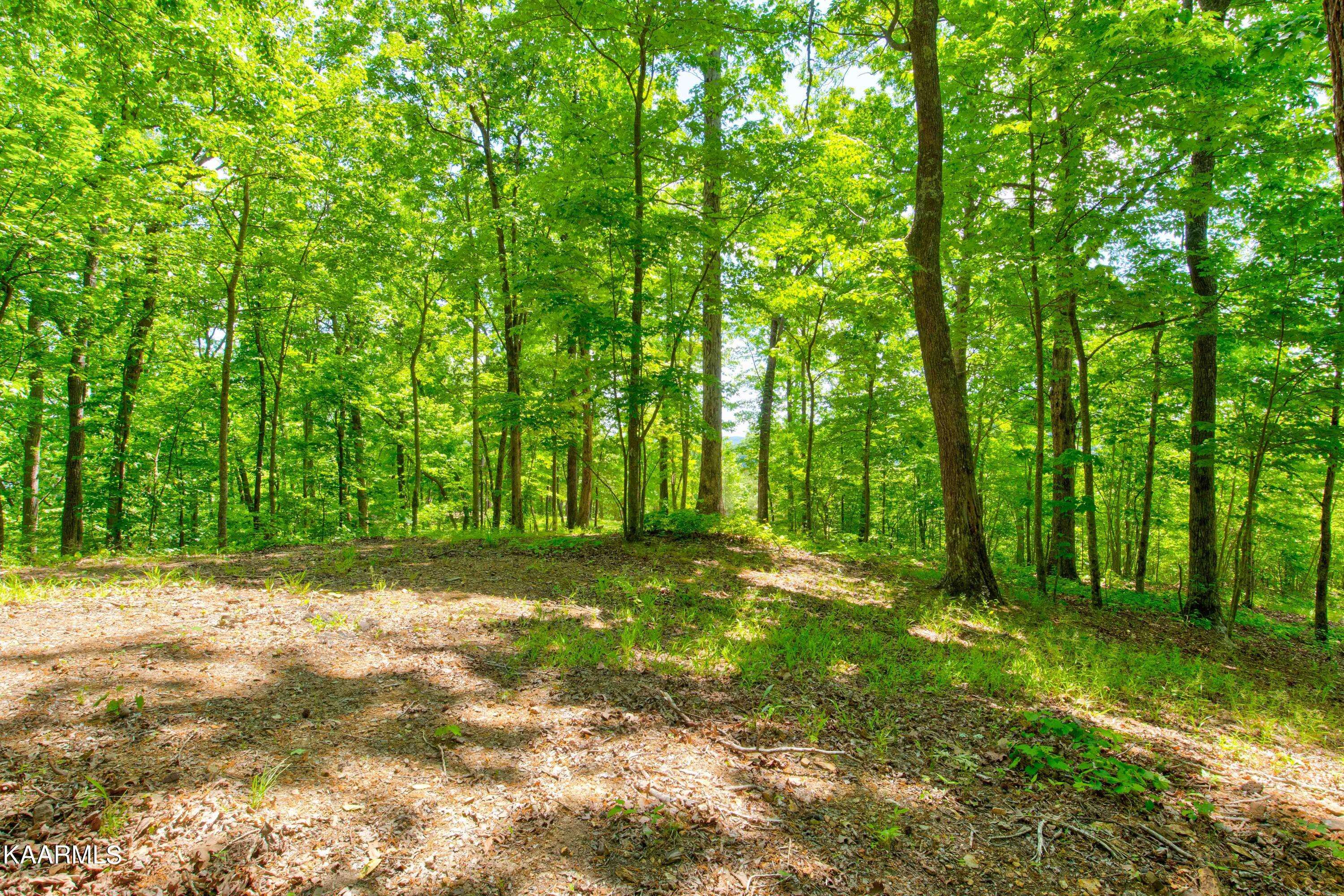 Rockwood, TN 37854,Lot 27 Ridgeline Drive