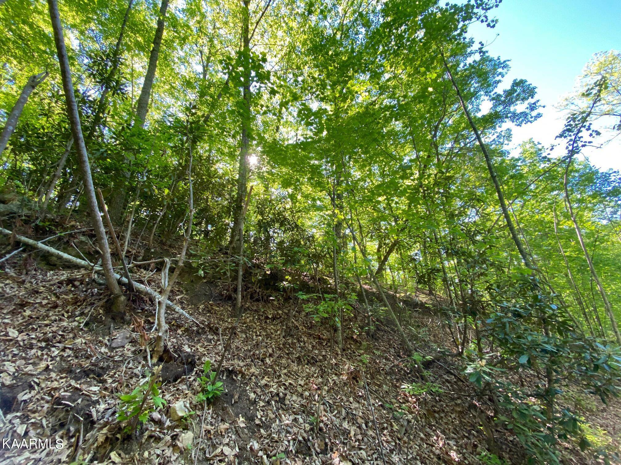 Sevierville, TN 37876,Lot 41 Trailer Park LN