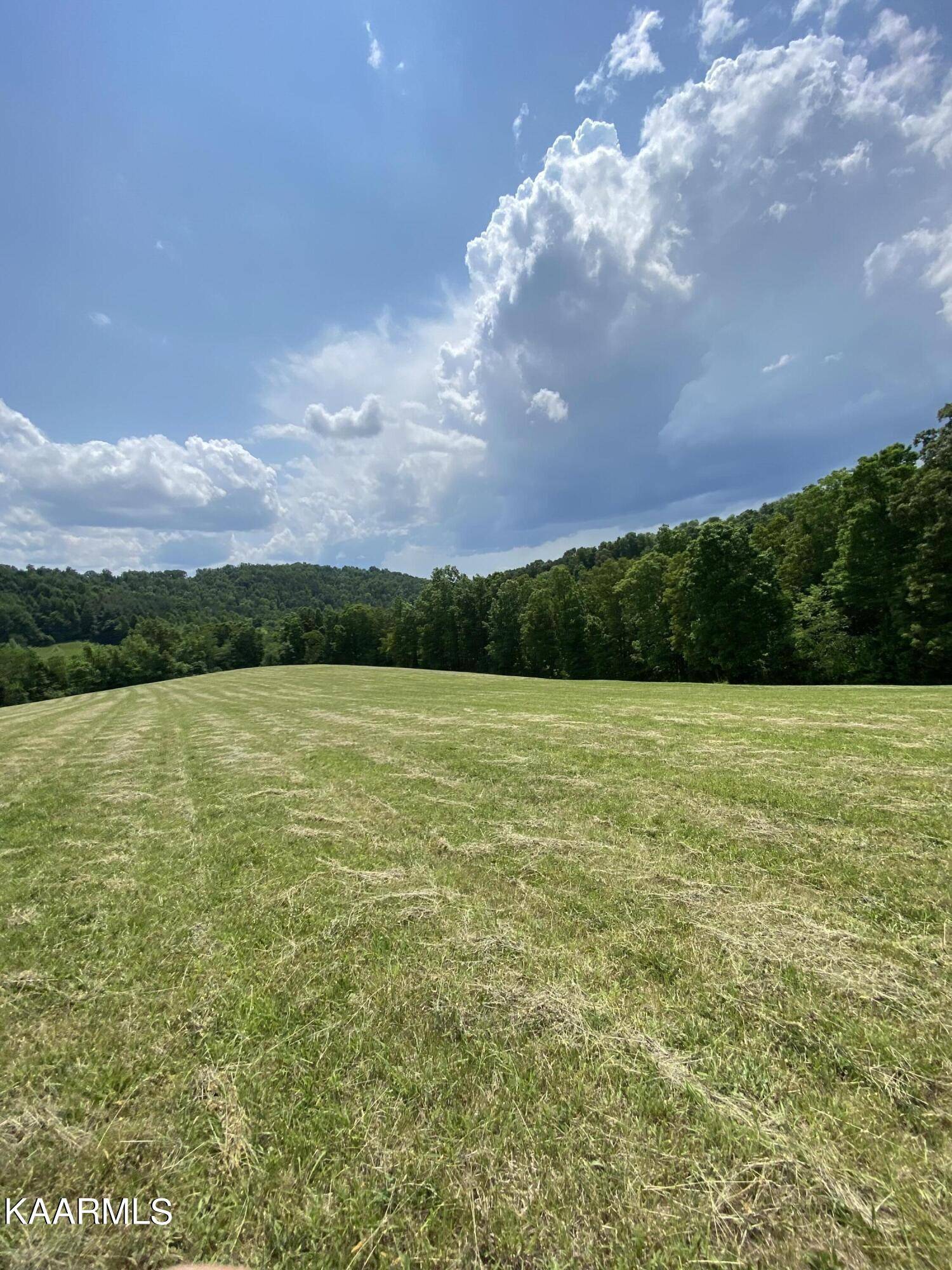 New Tazewell, TN 37825,Minton Rd