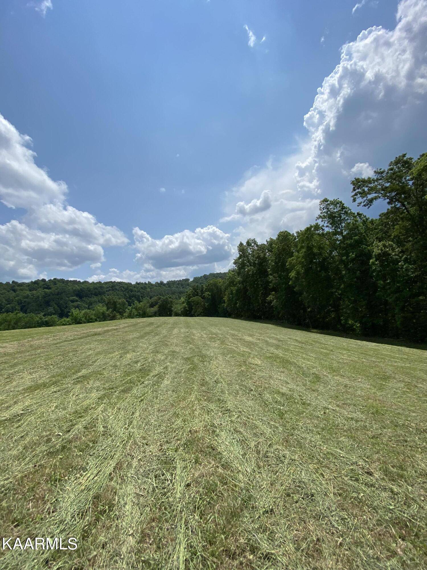 New Tazewell, TN 37825,Minton Rd