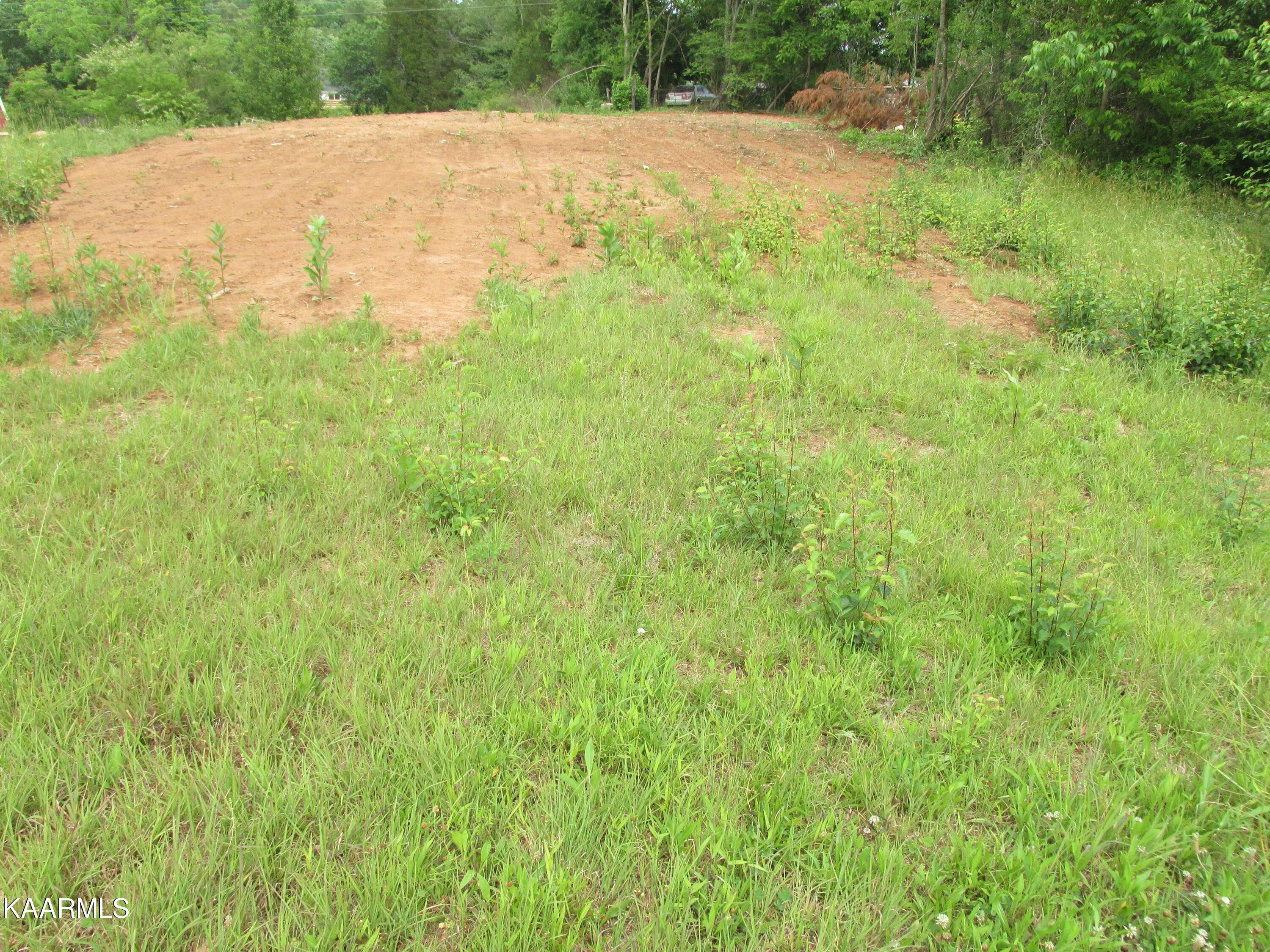 Greenback, TN 37742,Meadow Rd W