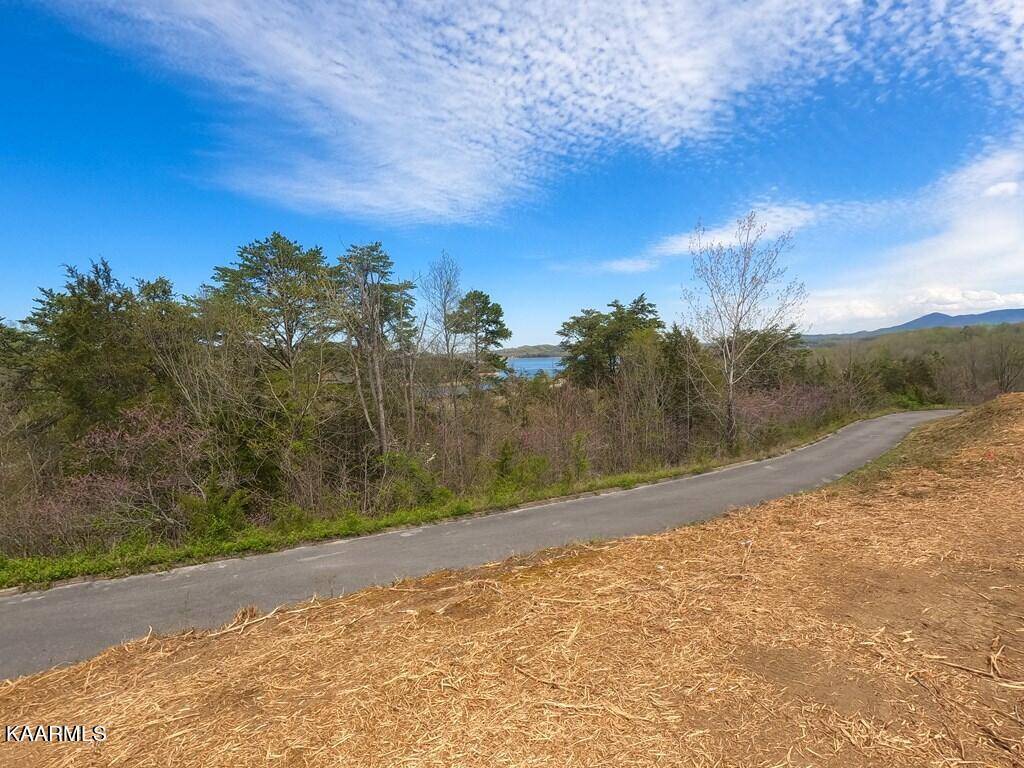 Sevierville, TN 37876,Lot 16 Harbor Point DR