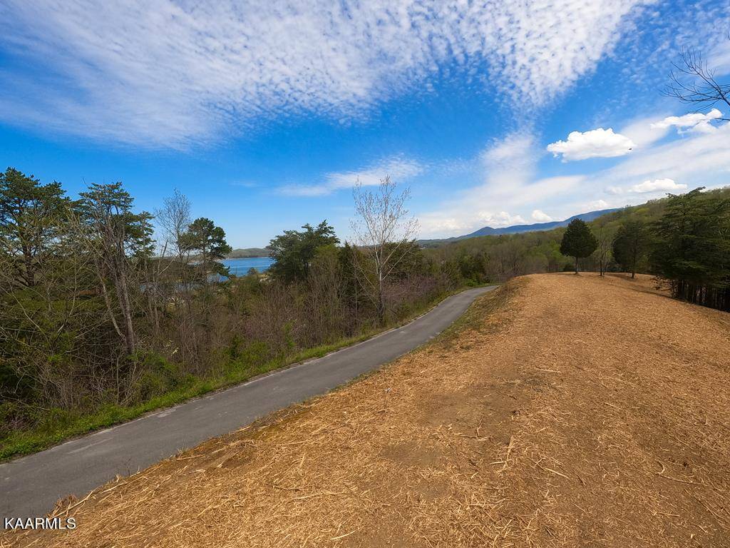 Sevierville, TN 37876,Lot 16 Harbor Point DR