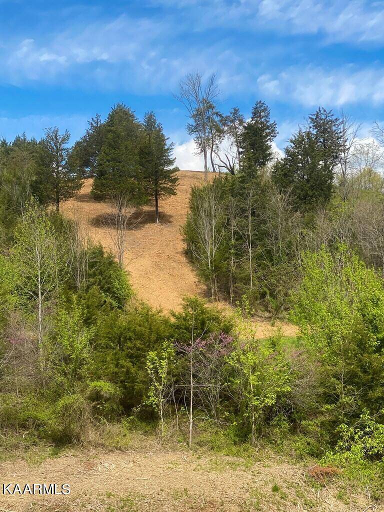 Sevierville, TN 37876,Lot 16 Harbor Point DR