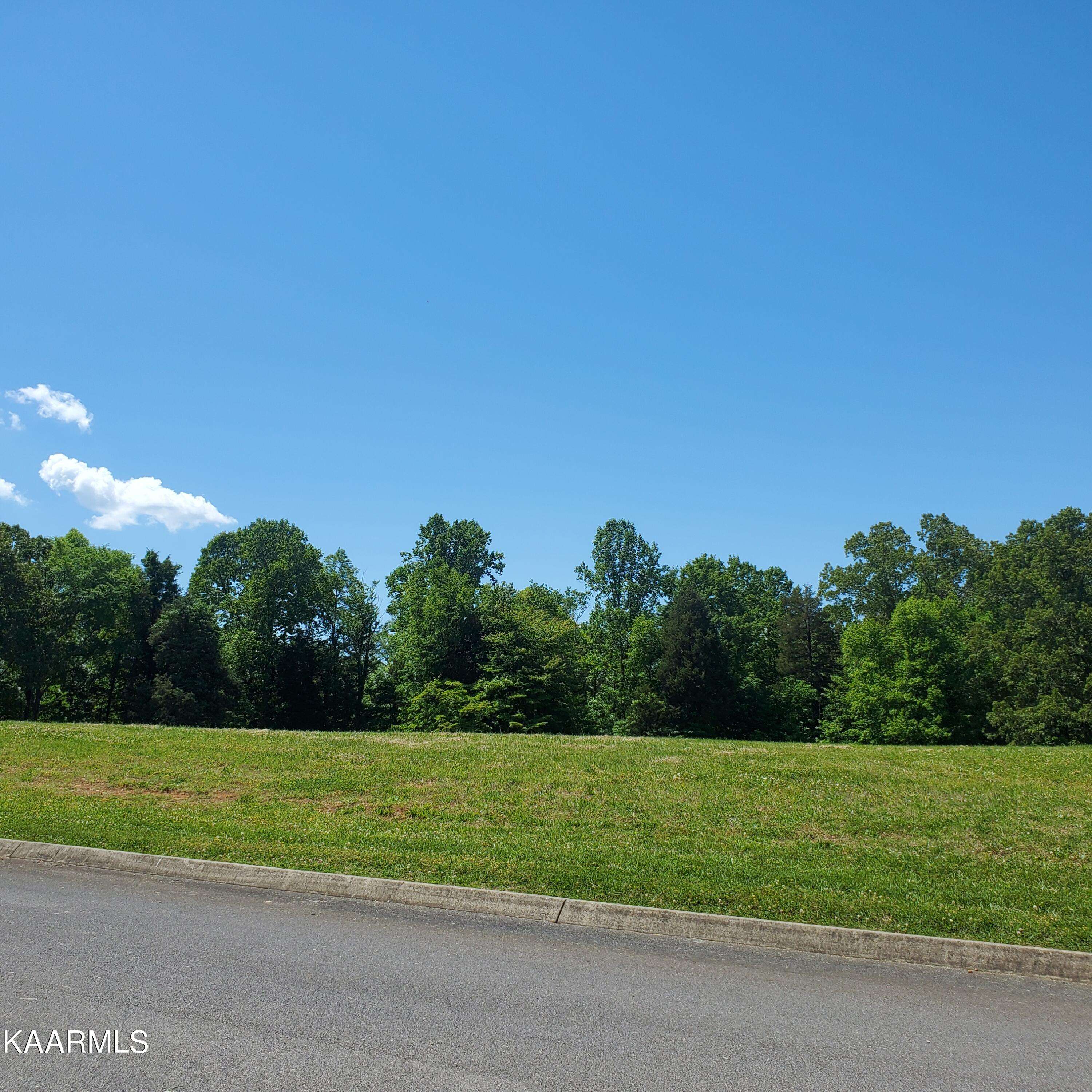 Rutledge, TN 37861,Lot 106 Tumbleweed Tr