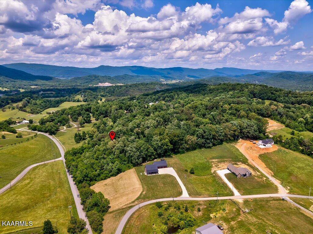 Blaine, TN 37709,0 Indian Ridge Rd