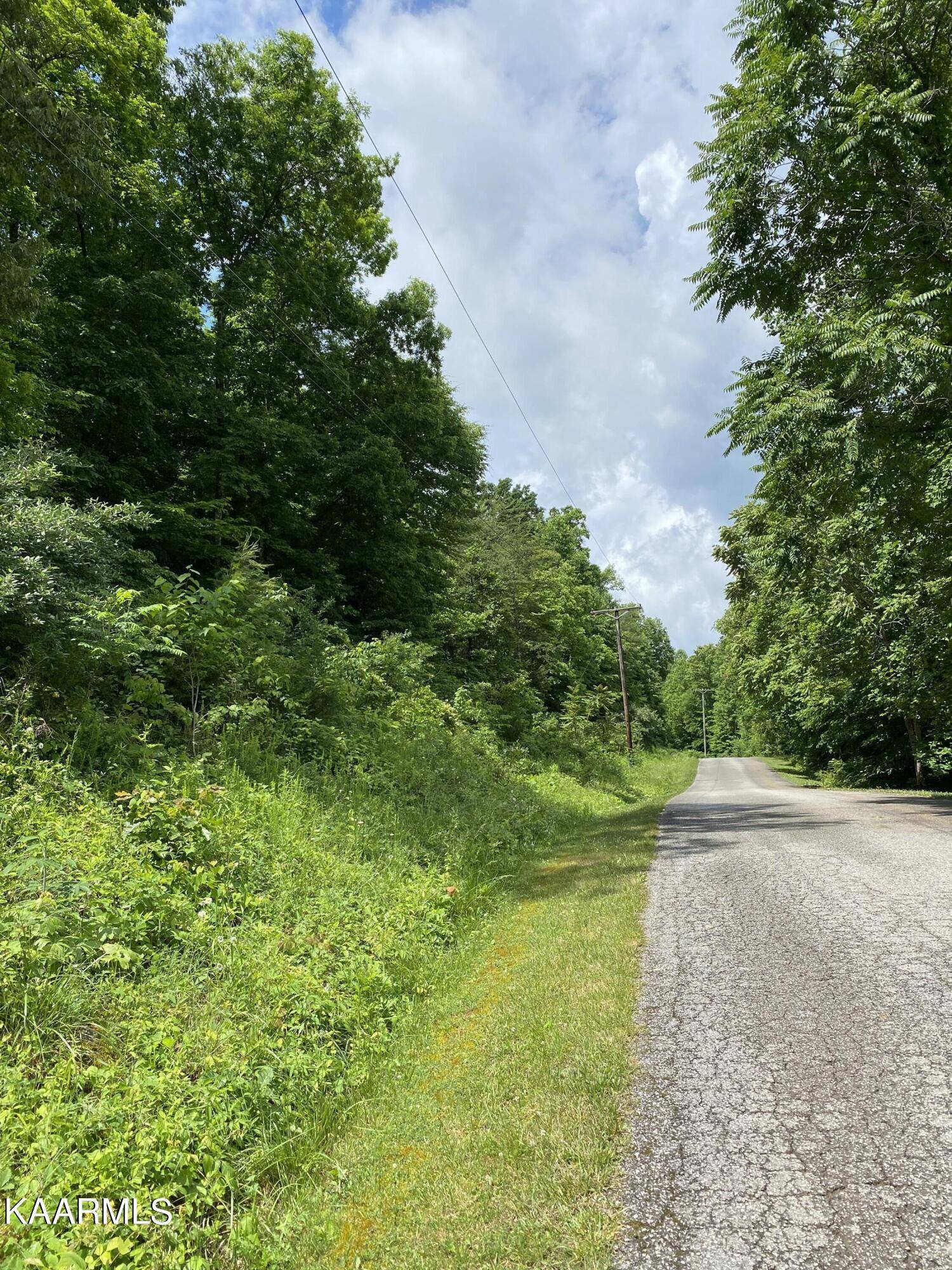 Lafollette, TN 37766,lot #3 Norris Point Rd