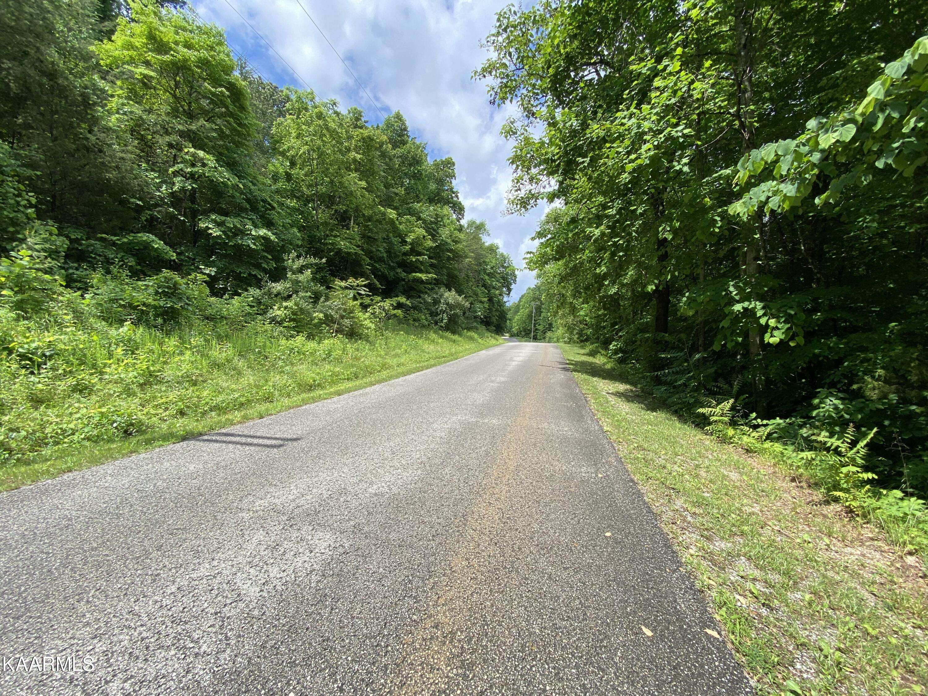 Lafollette, TN 37766,lot #3 Norris Point Rd