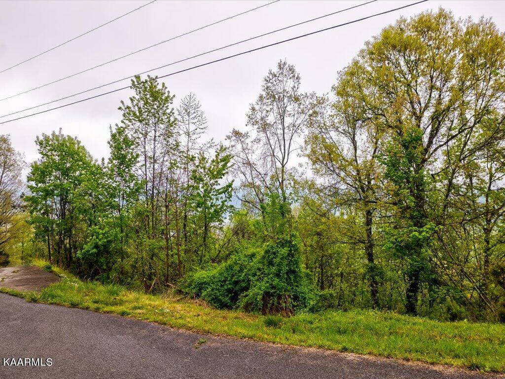 New Tazewell, TN 37825,Lot 196 Clinch View Rd