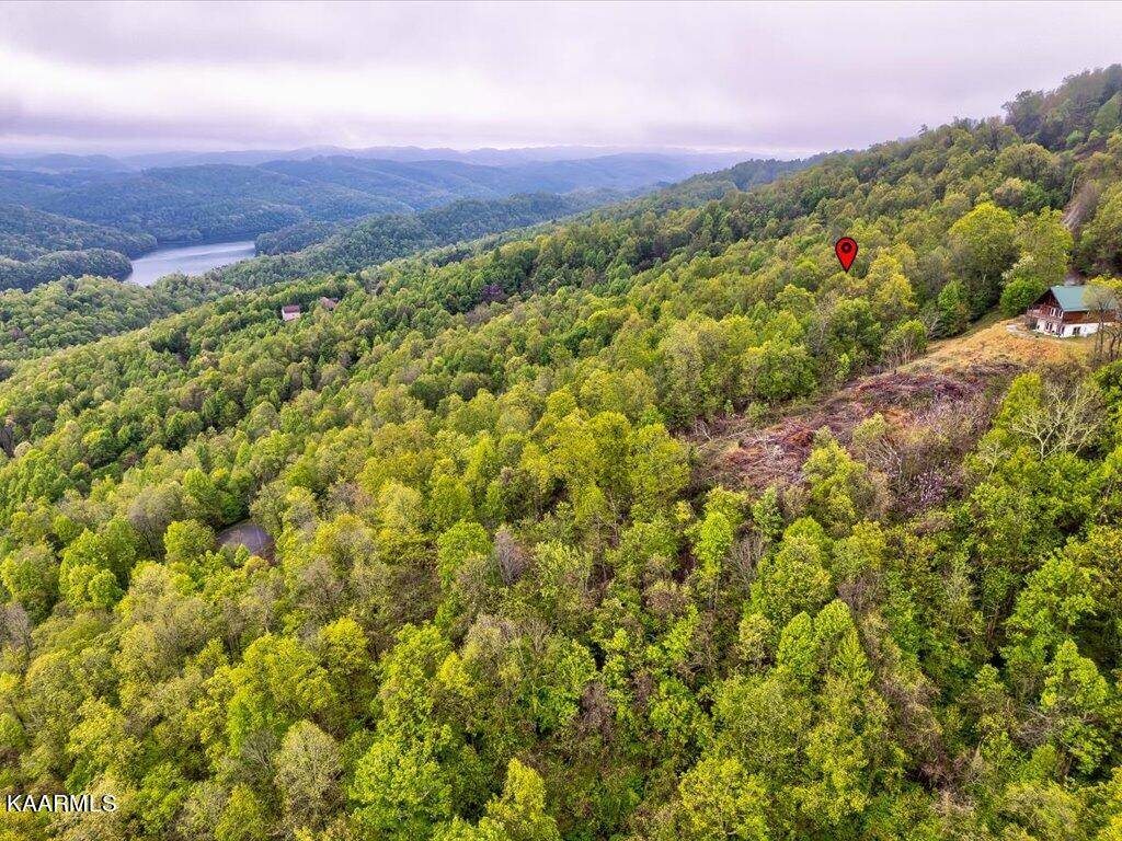 New Tazewell, TN 37825,Lot 196 Clinch View Rd