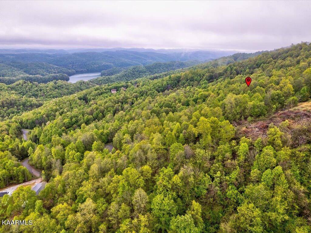 New Tazewell, TN 37825,Lot 196 Clinch View Rd